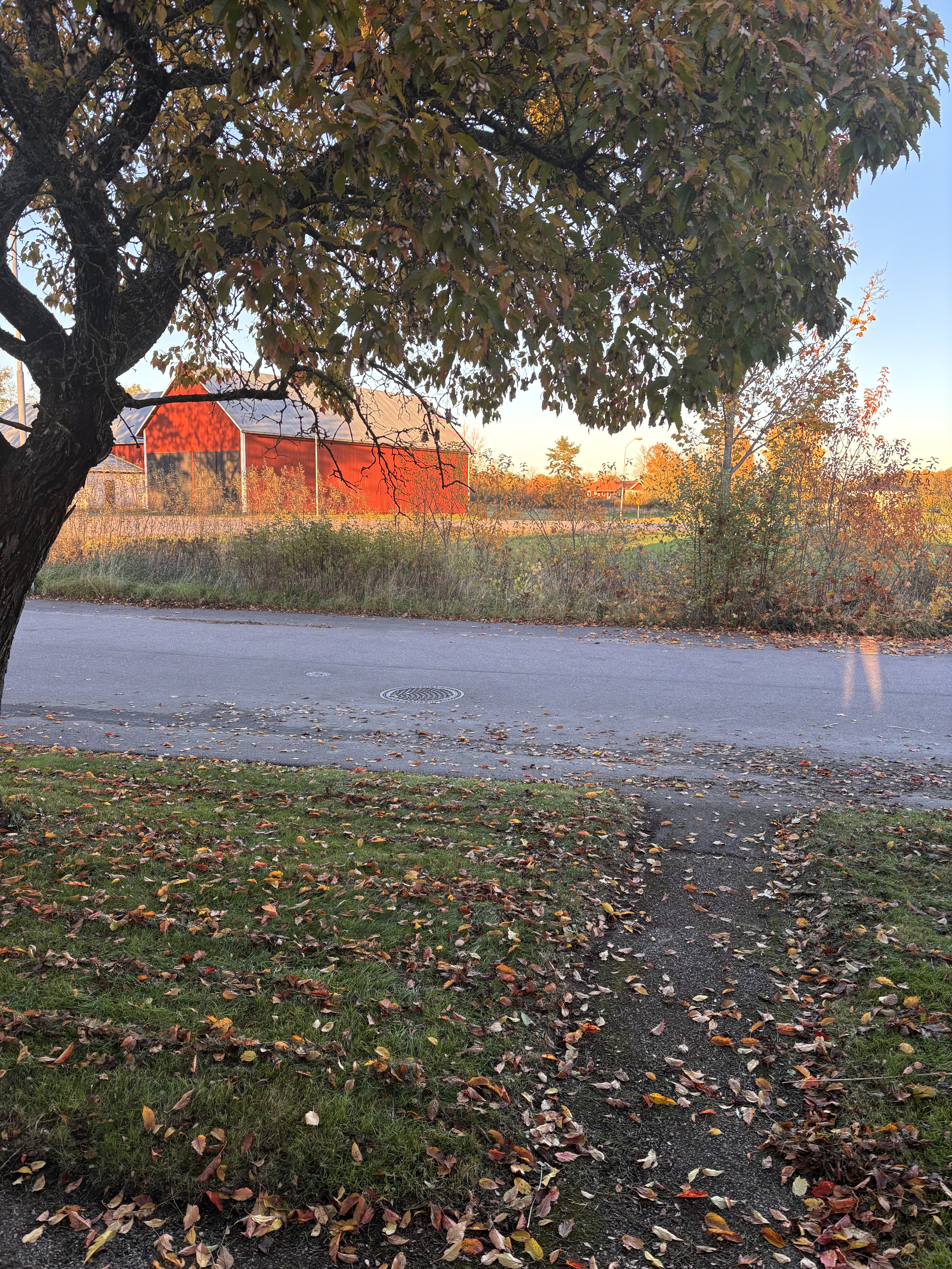 2 rok · 55 m² i Örebro – bild 2