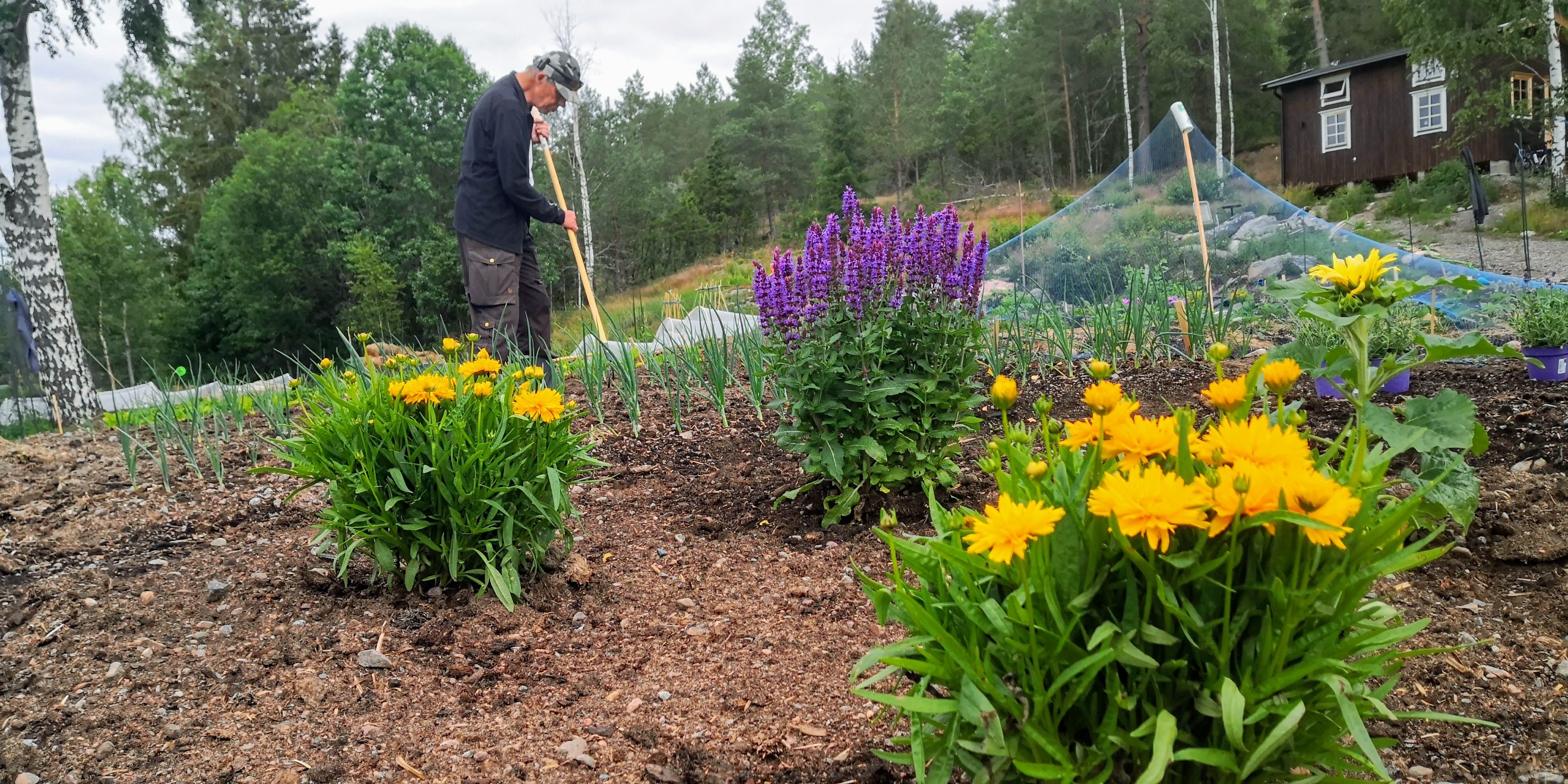 3 rok · 45 m² i Åmotfors – bild 6