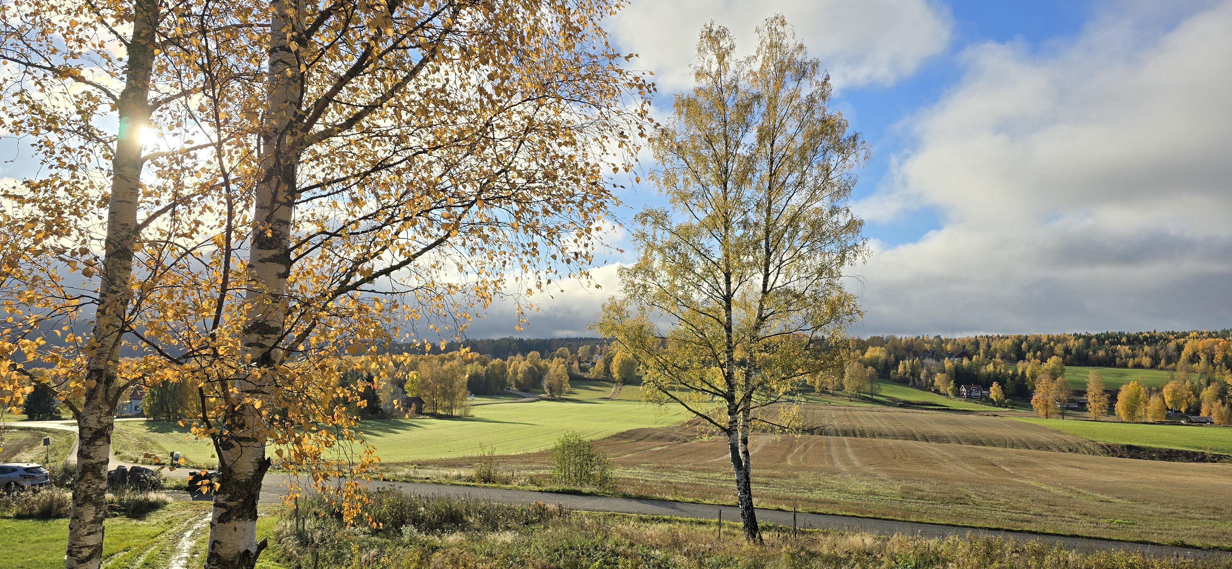 3 rok · 50 m² i Åmotfors – bild 11
