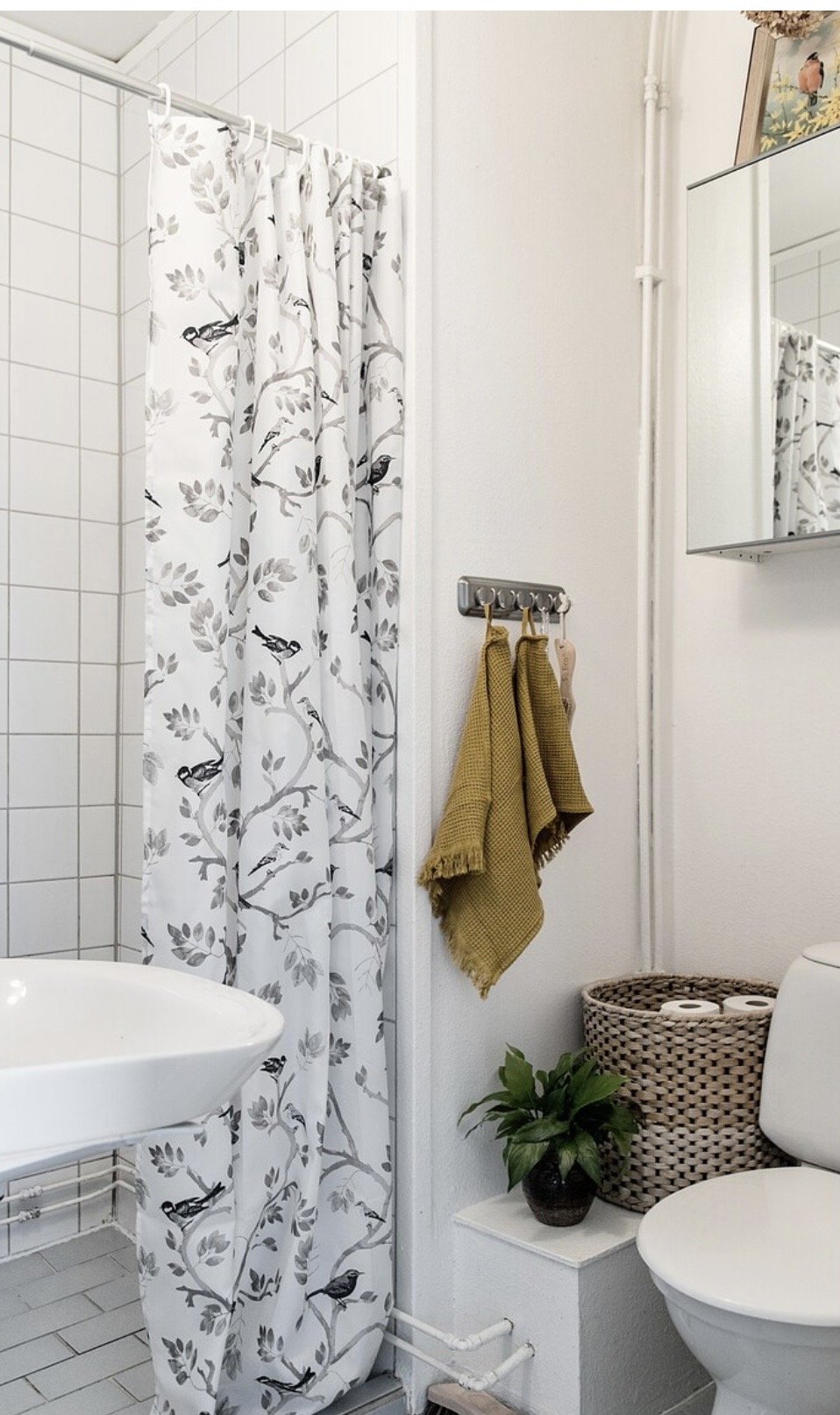 1 rok · 37 m² i Göteborg – bild 4