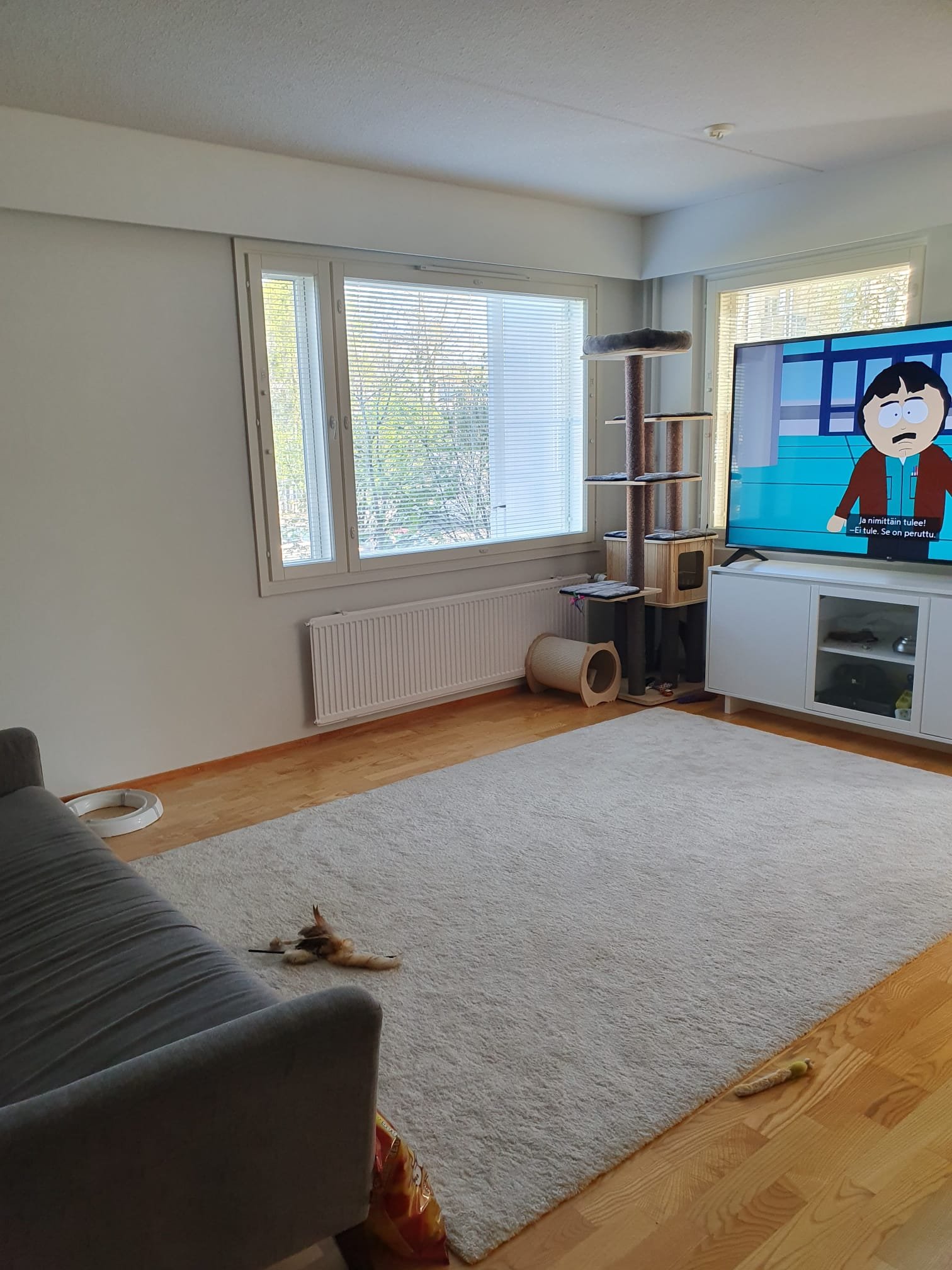 Kolmio hyvällä sijainnilla 3