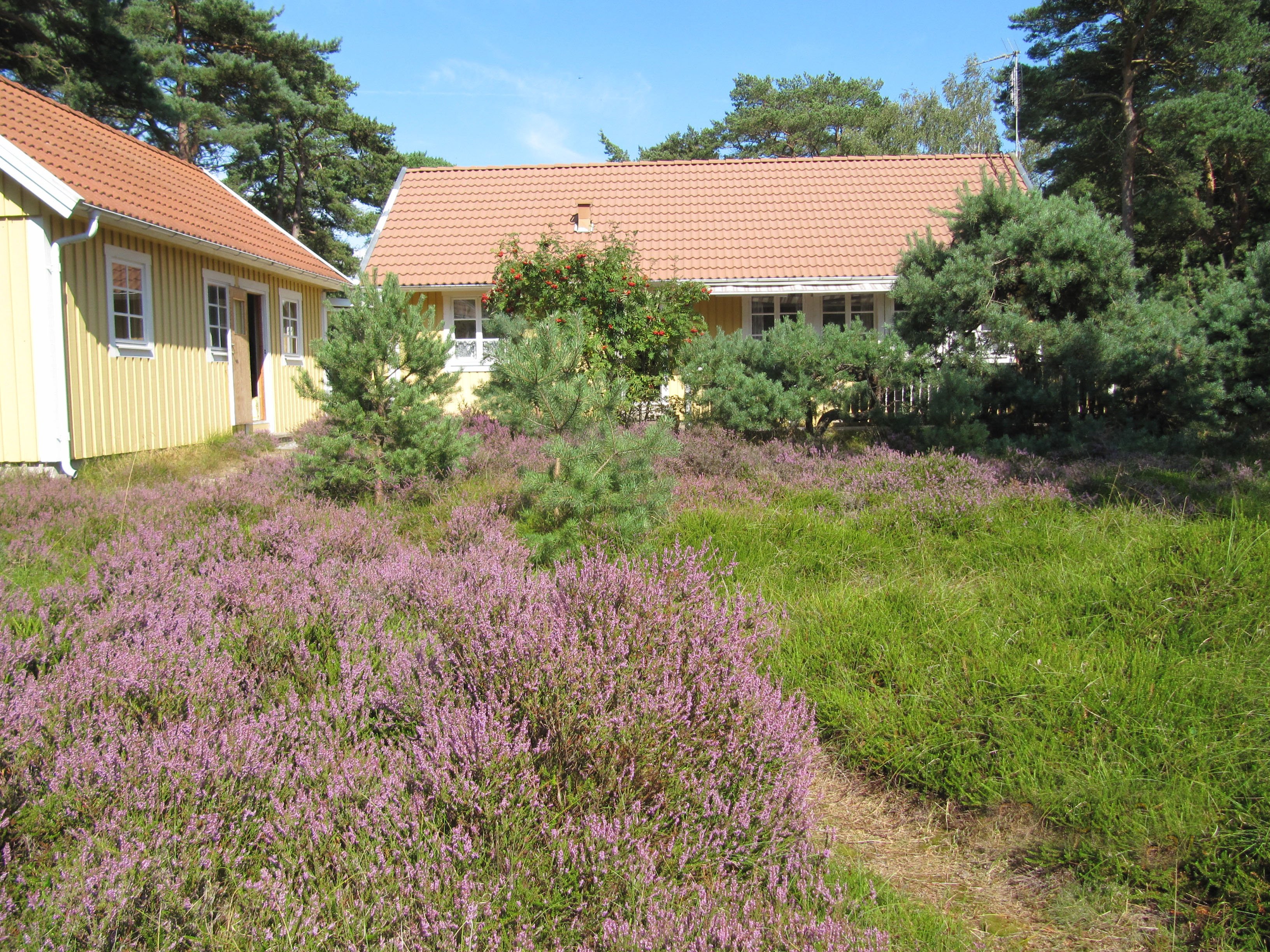 Stuga, 3 rooms, 80 sqm, Höllviken
