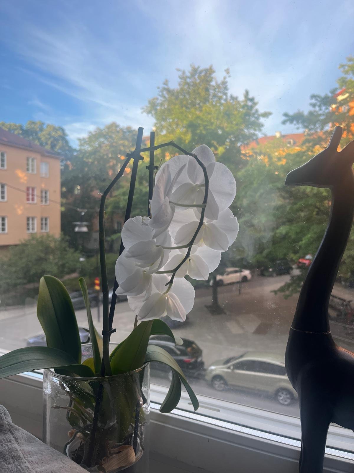 3 rok · 70 m² i Stockholm – bild 5