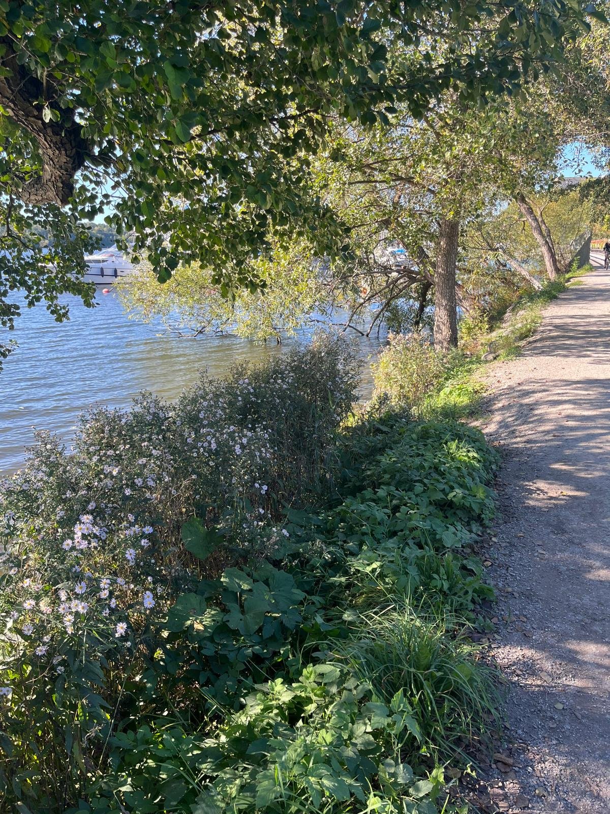 3 rok · 70 m² i Stockholm – bild 15