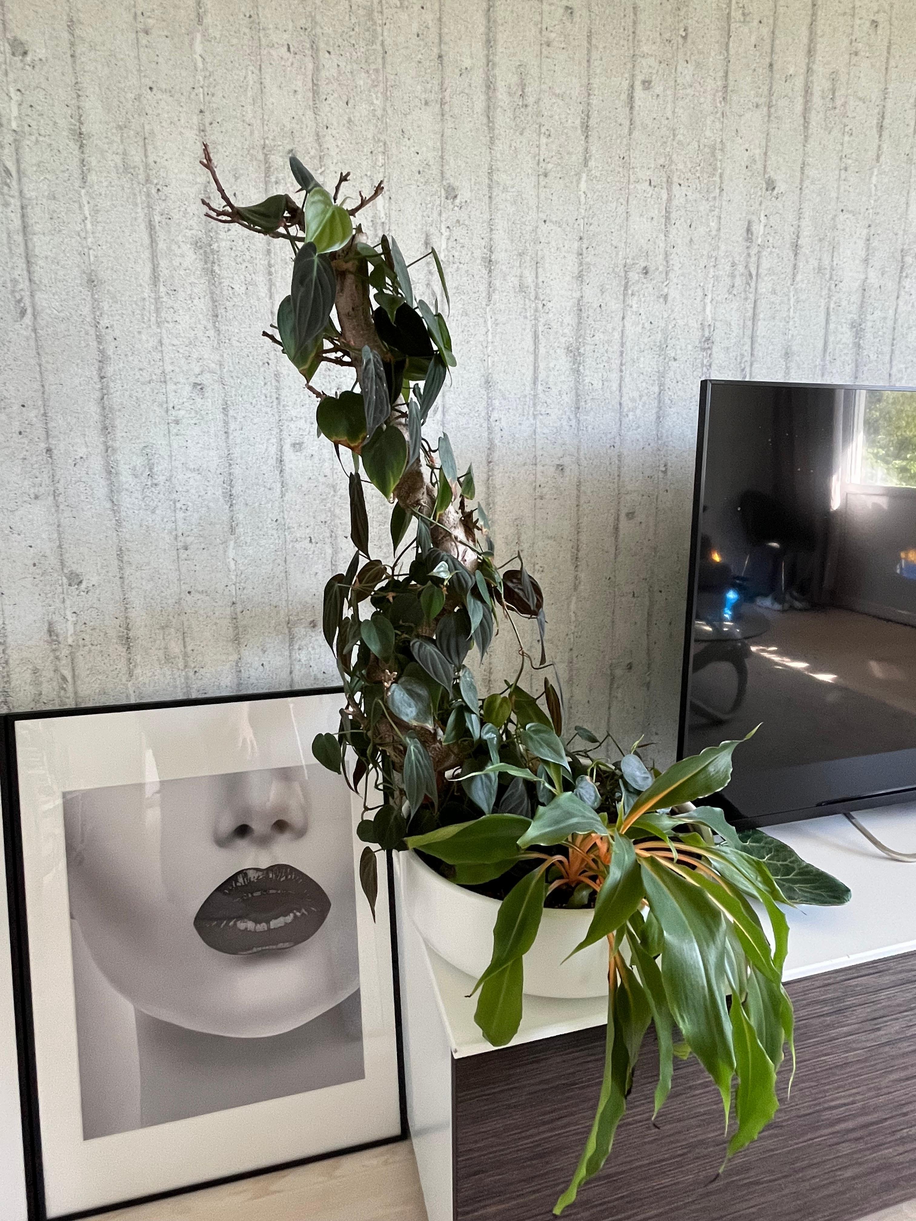 2 rok · 55 m² i Saltsjö-boo – bild 8