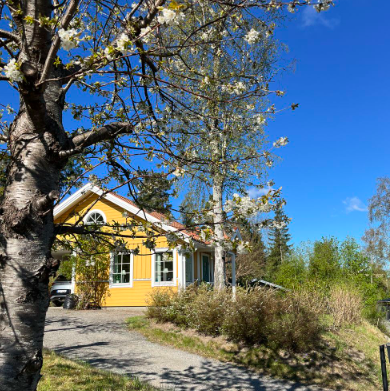 2 rok · 40 m² i Tyresö – bild 15