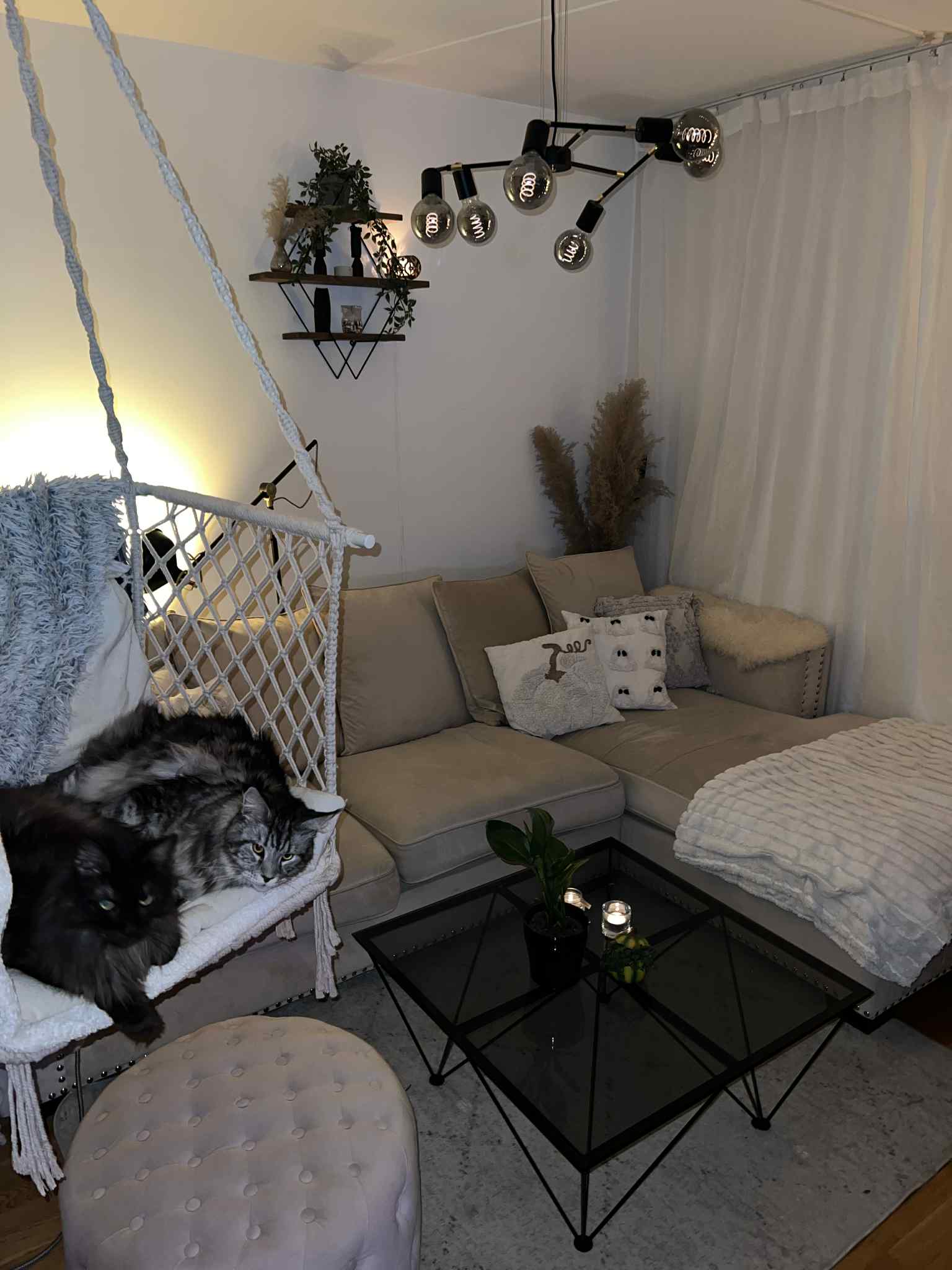 Davidshallsgatan, Malmö — photo 4