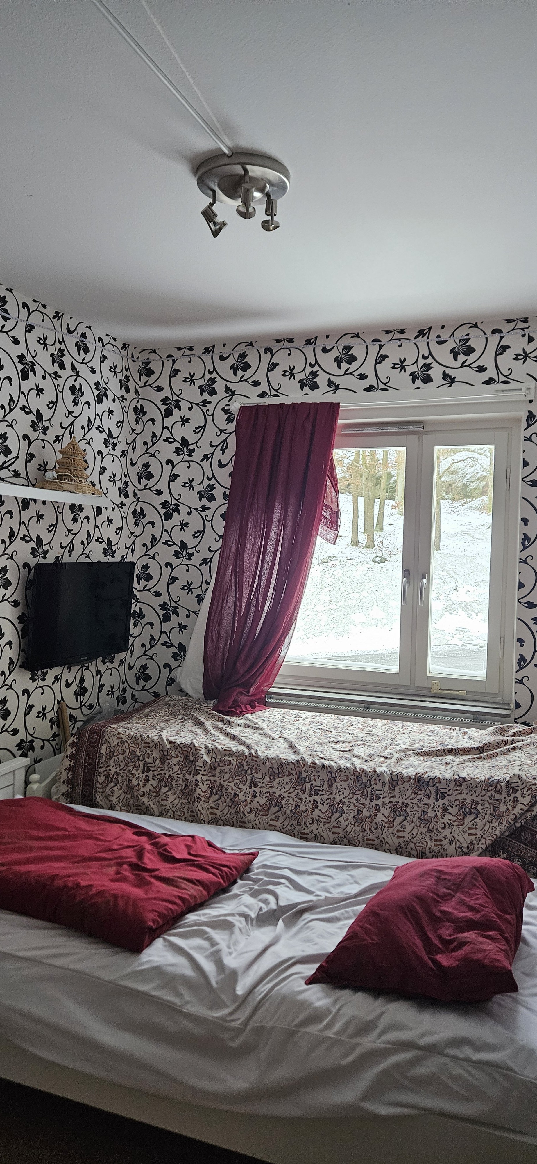 Baron Rogers Gata, Hisings Backa