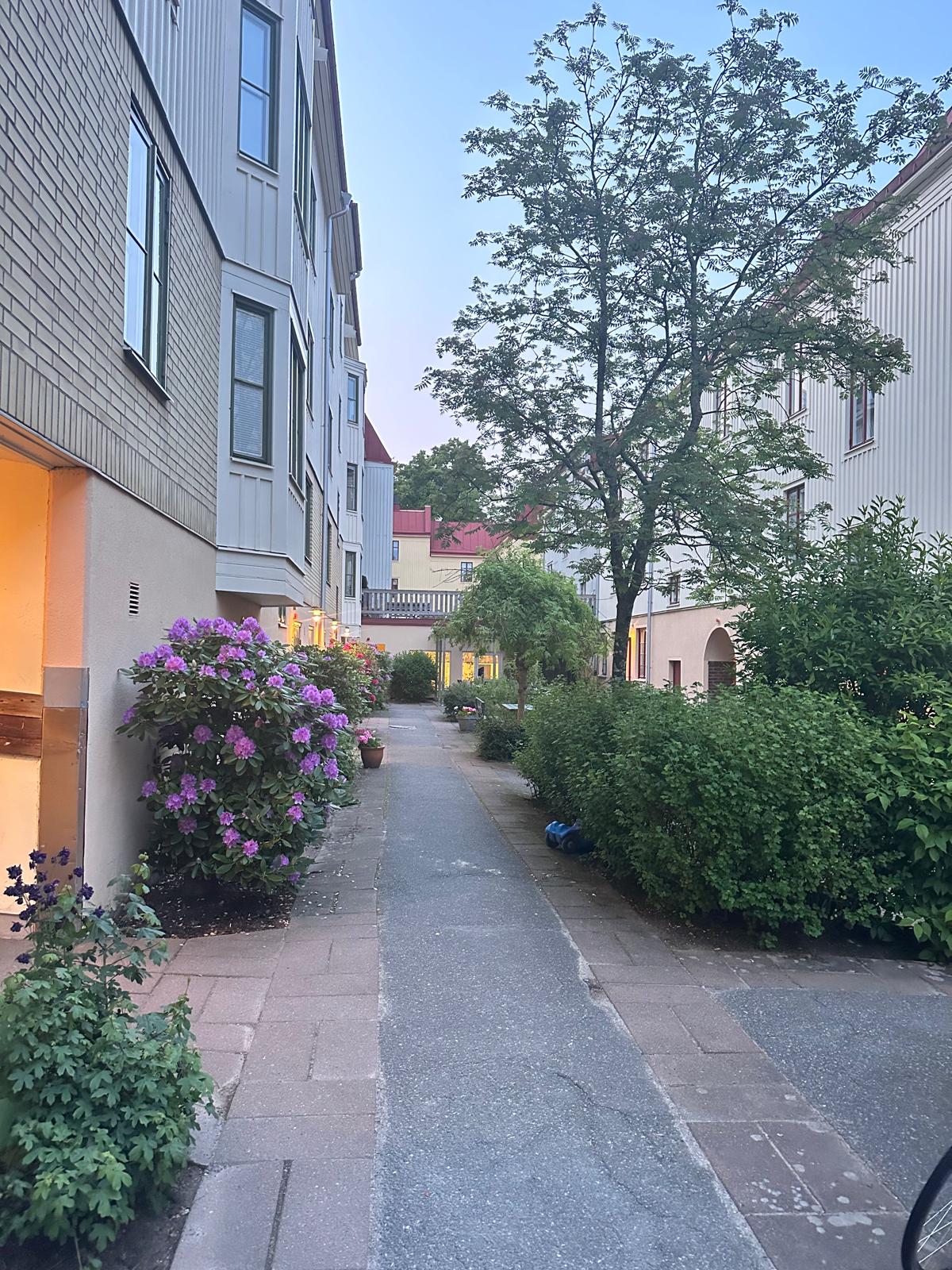 Ånäsvägen, Göteborg — photo 5