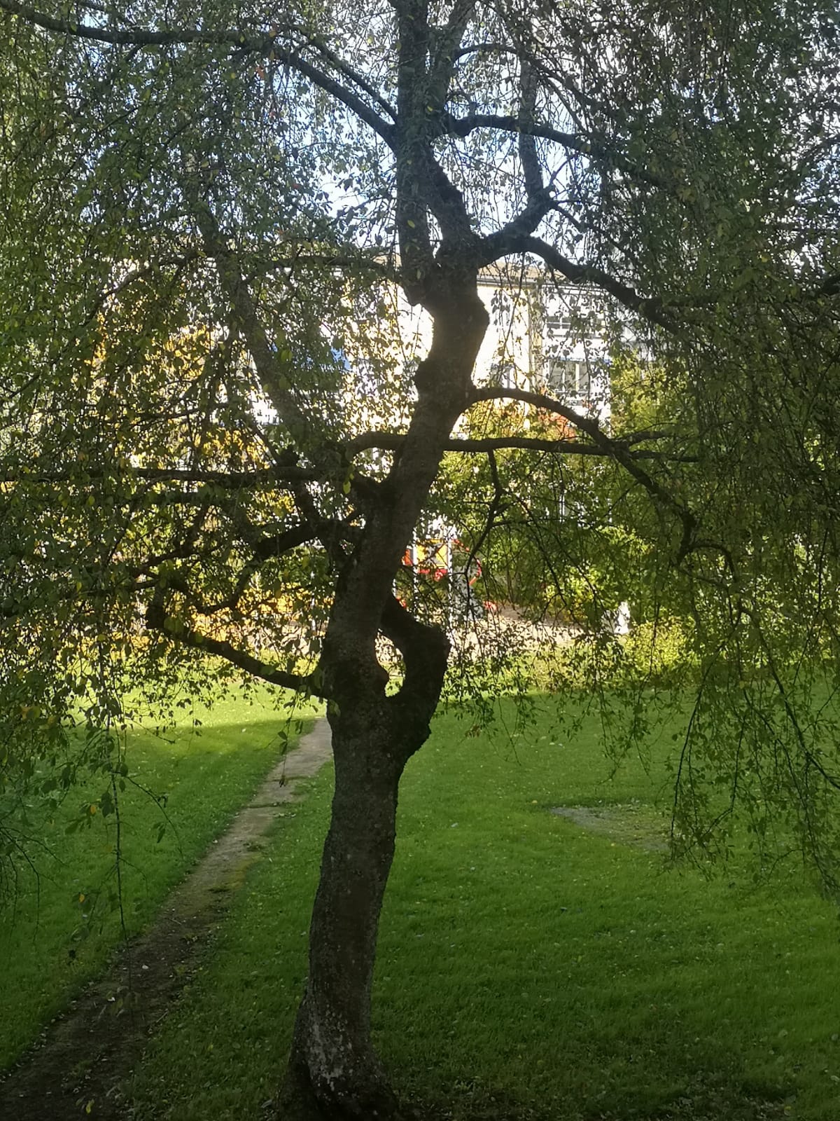 Hyreslägenhet på Uppsala i uppsala