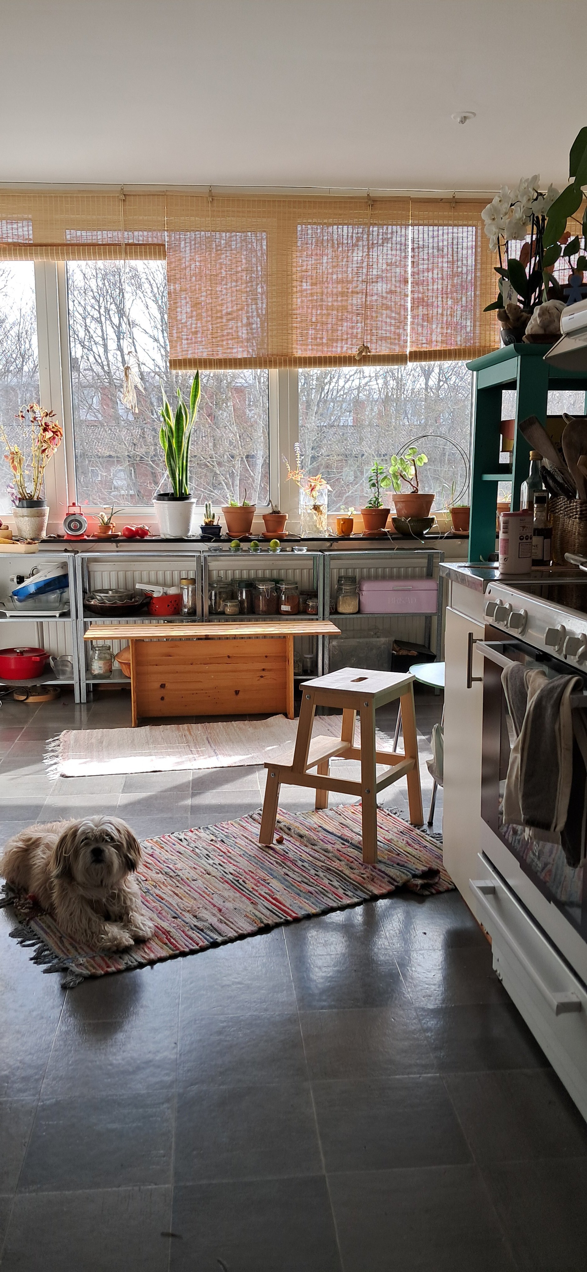 Magistratsvägen, Lund — photo 3