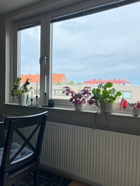 Nordostpassagen, Göteborg