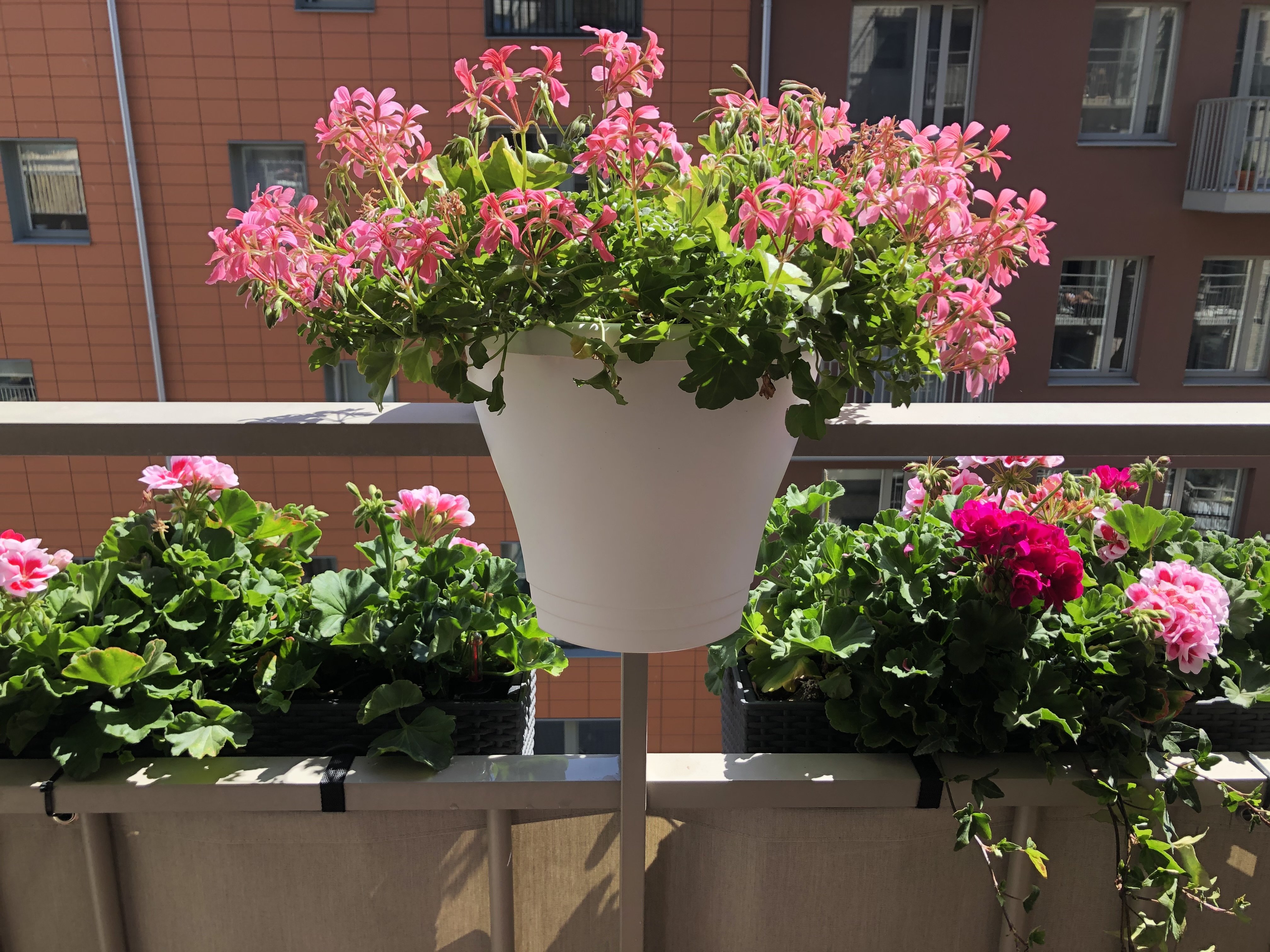 2 rok · 51 m² i Malmö – bild 19