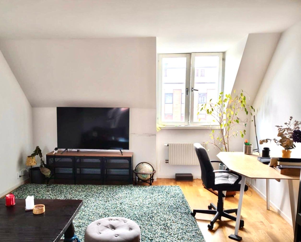 Sallerupsvägen, Malmö — photo 5