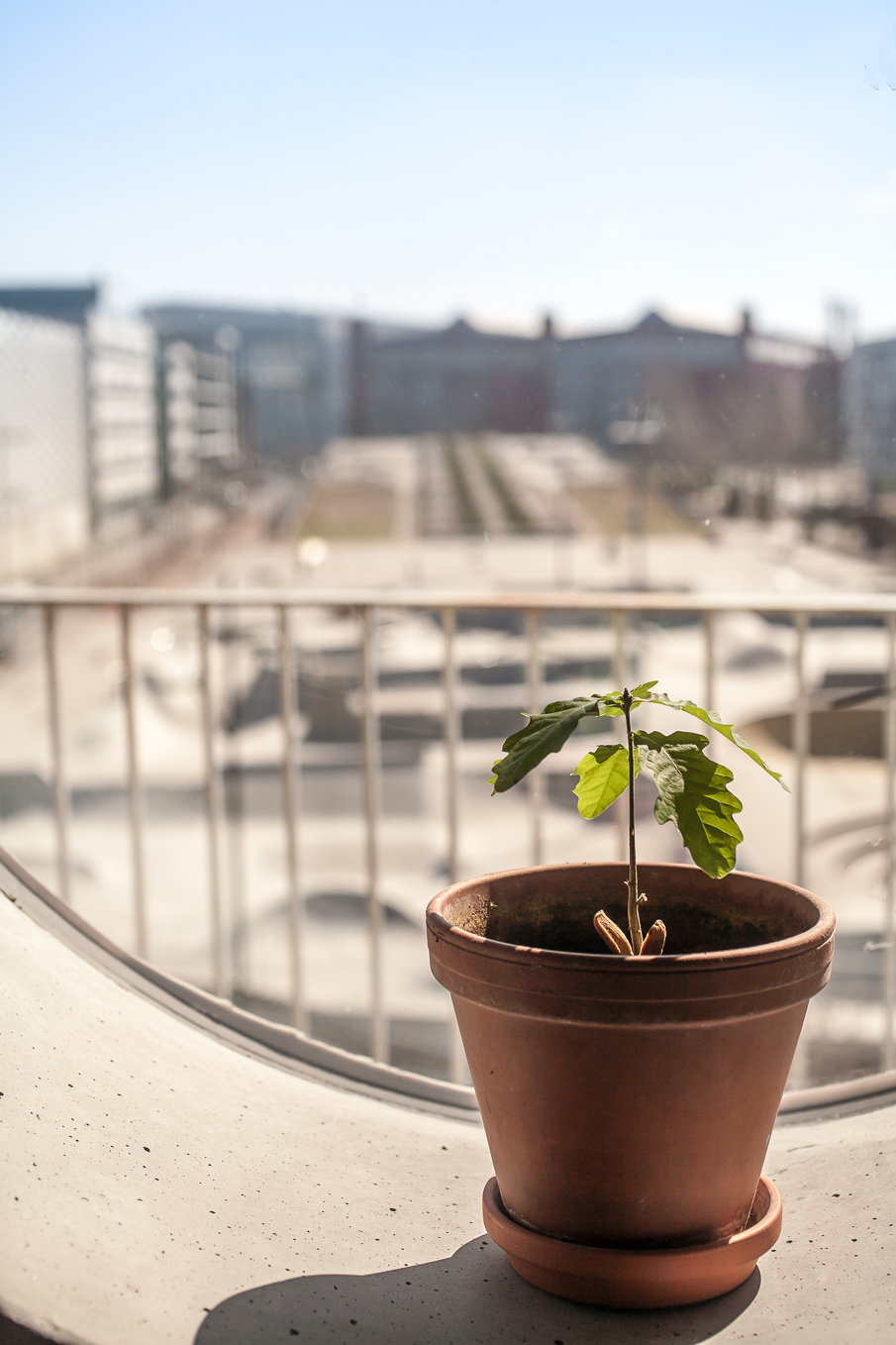 Lilla Varvsgatan 24, Malmö — photo 4