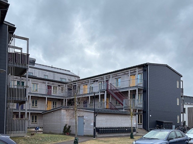 Lupingatan i Höganäs