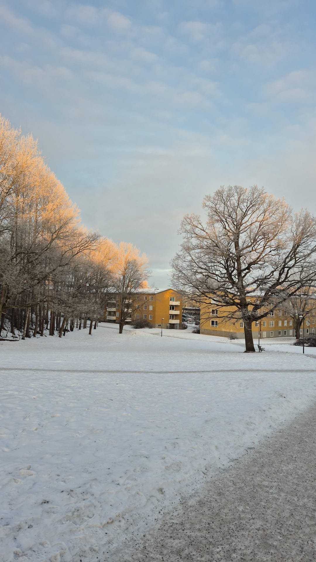 Lägenhet, 3 rum, 60 kvm, Skärholmen