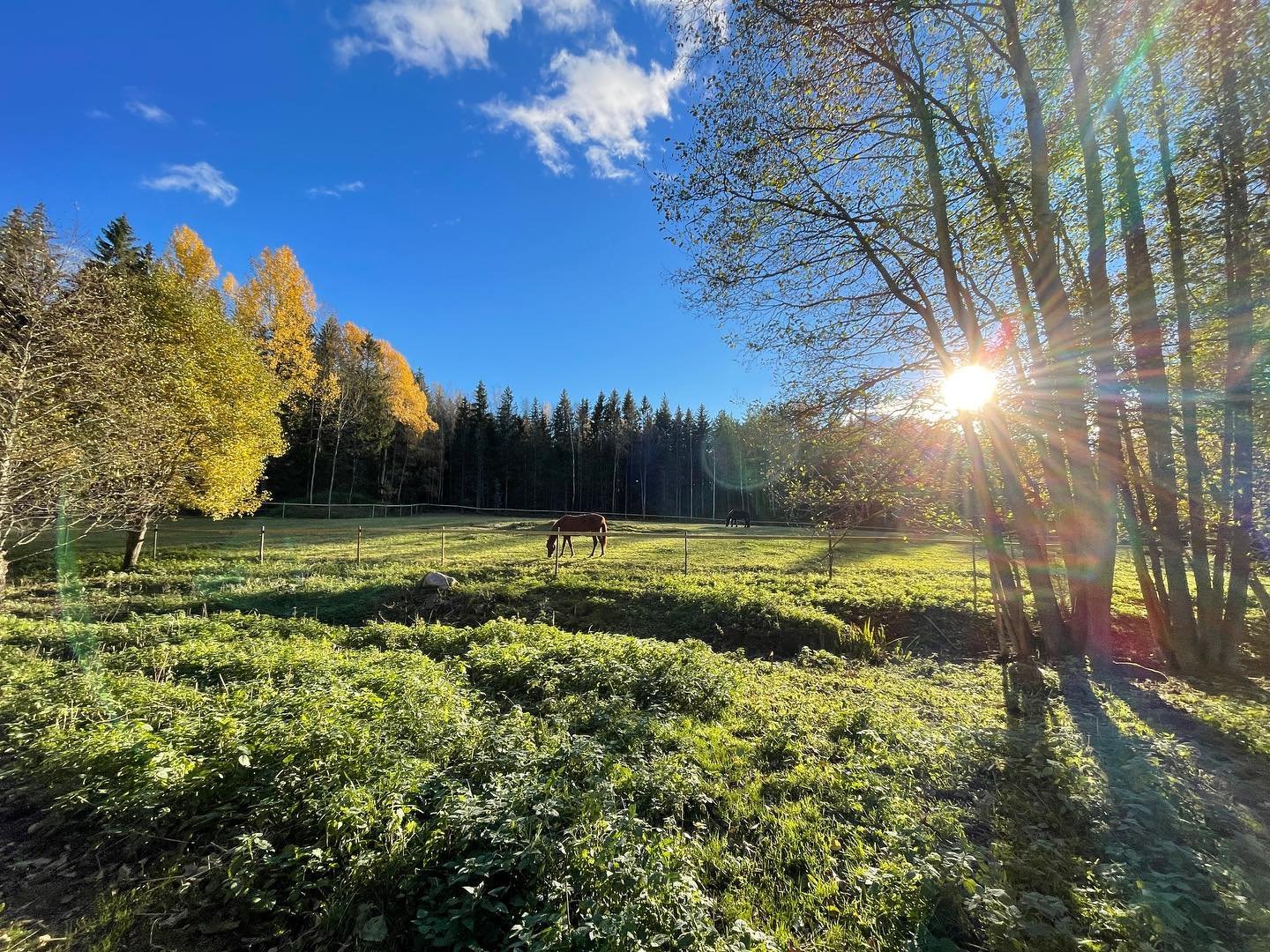 Hus – Tostebo, Knoppetorp - Bild 3