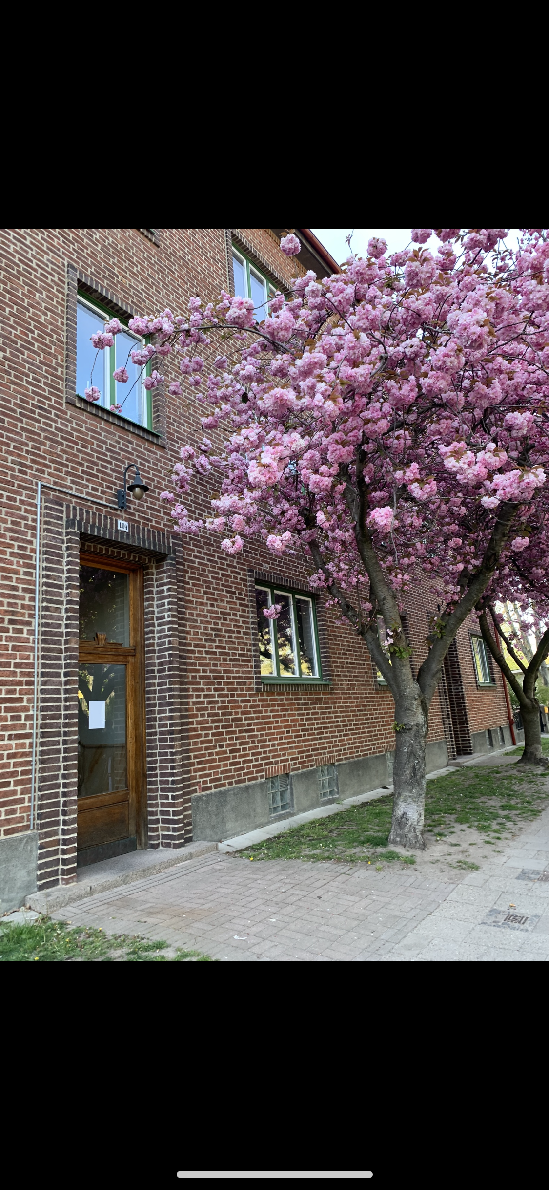 Lägenhet – Malmö, Västra Sorgenfri - Bild 2