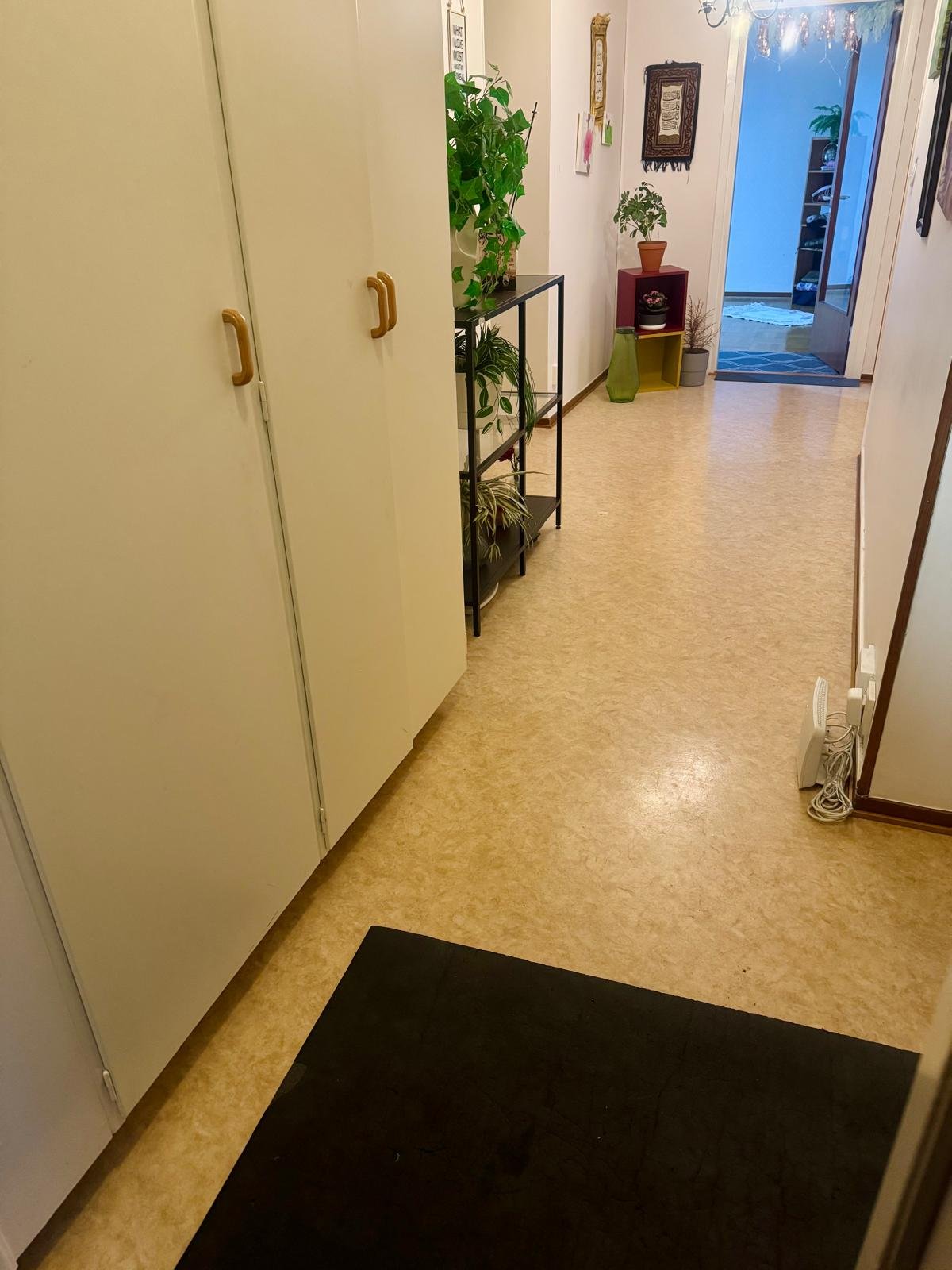 Morkullevägen, Umeå — photo 5