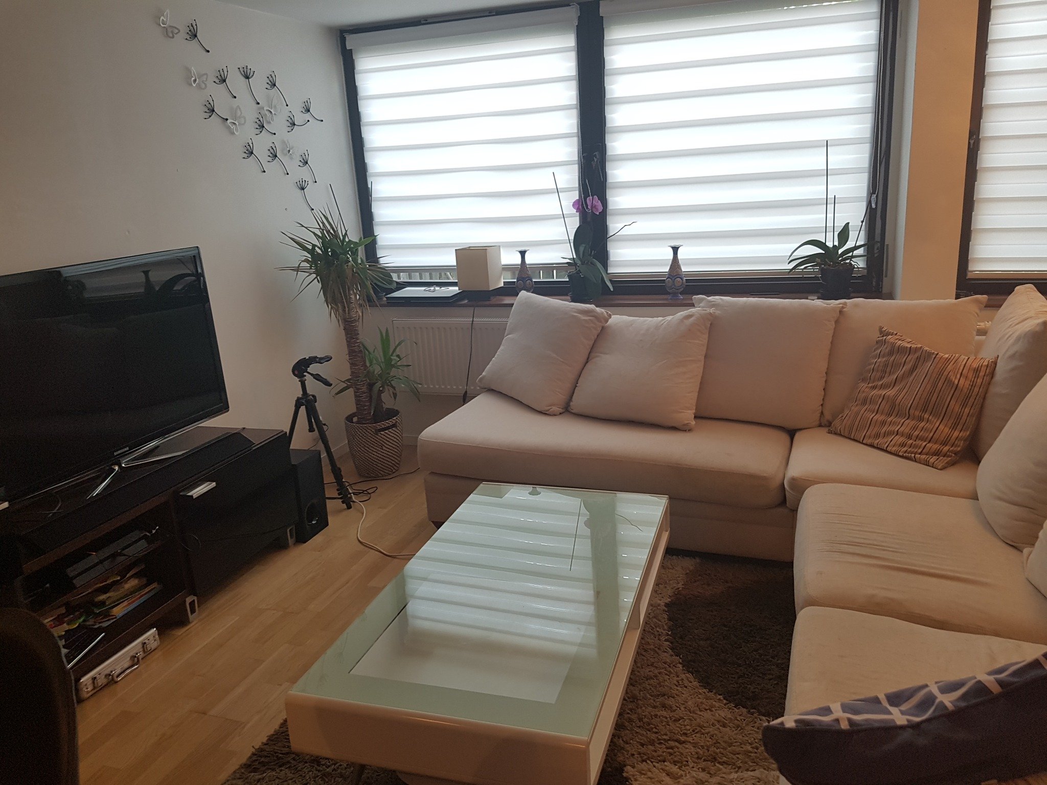 Nordostpassagen, Göteborg — photo 2