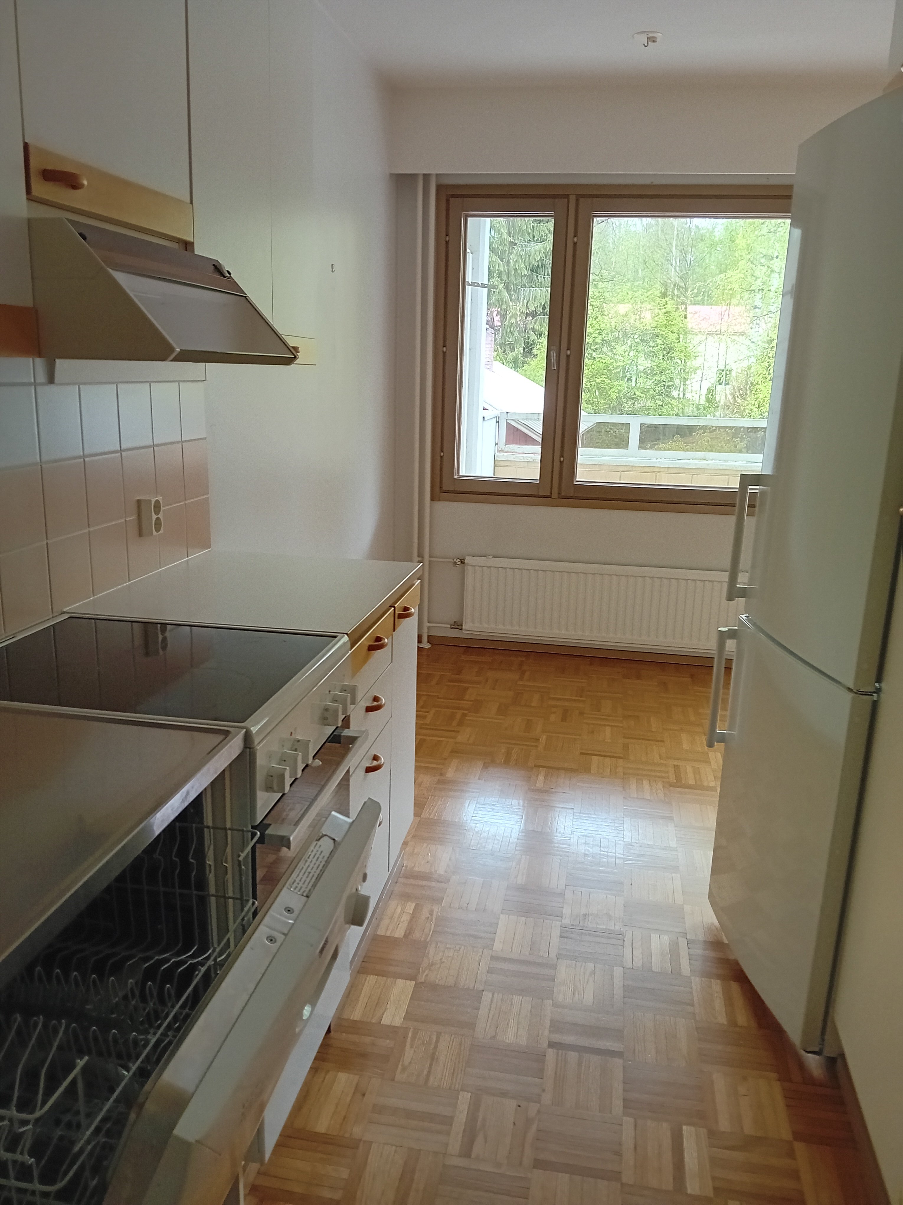 Kaksio järvimaisemalla 3