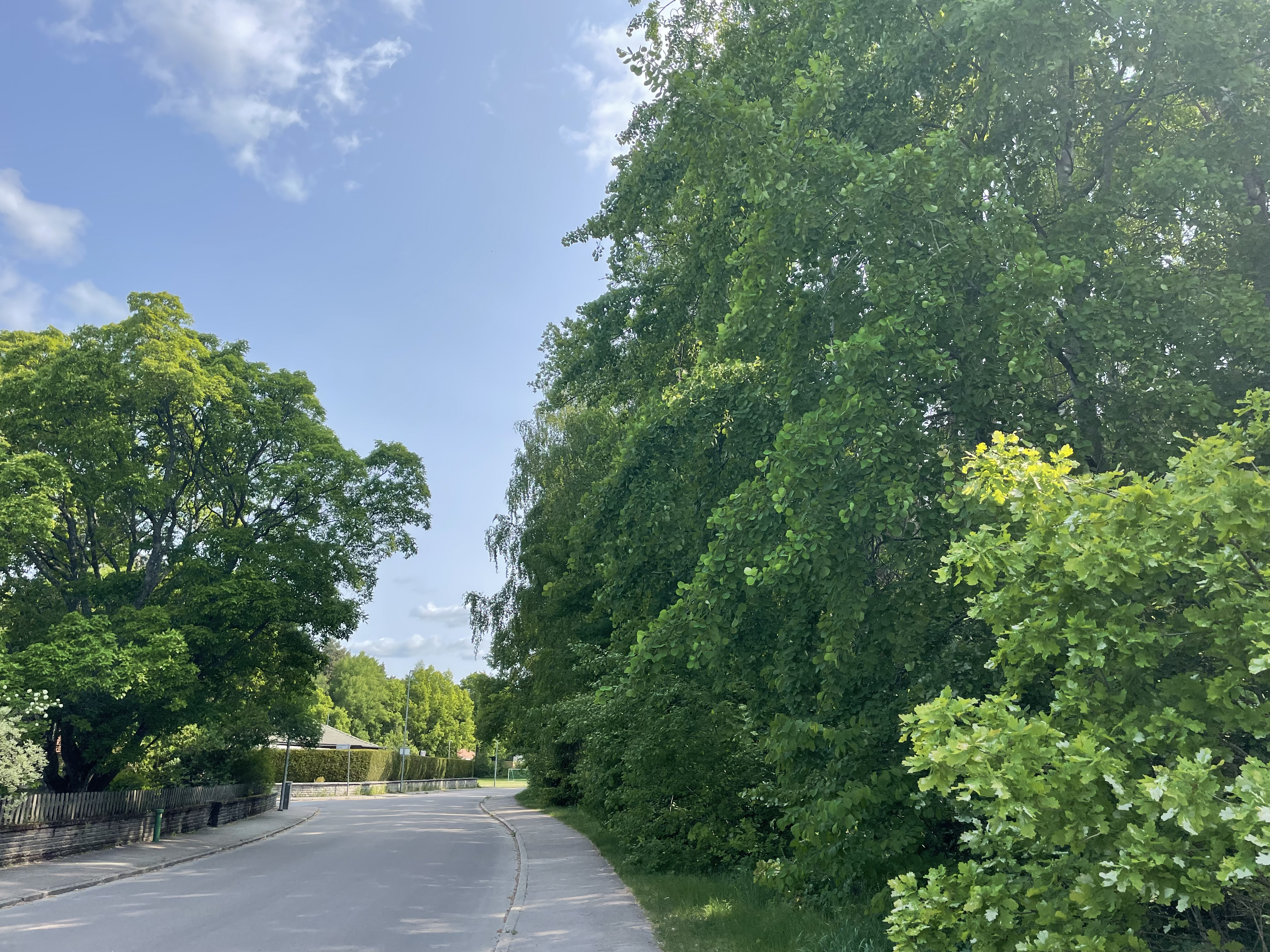 Vegagatan, Västerås — photo 2