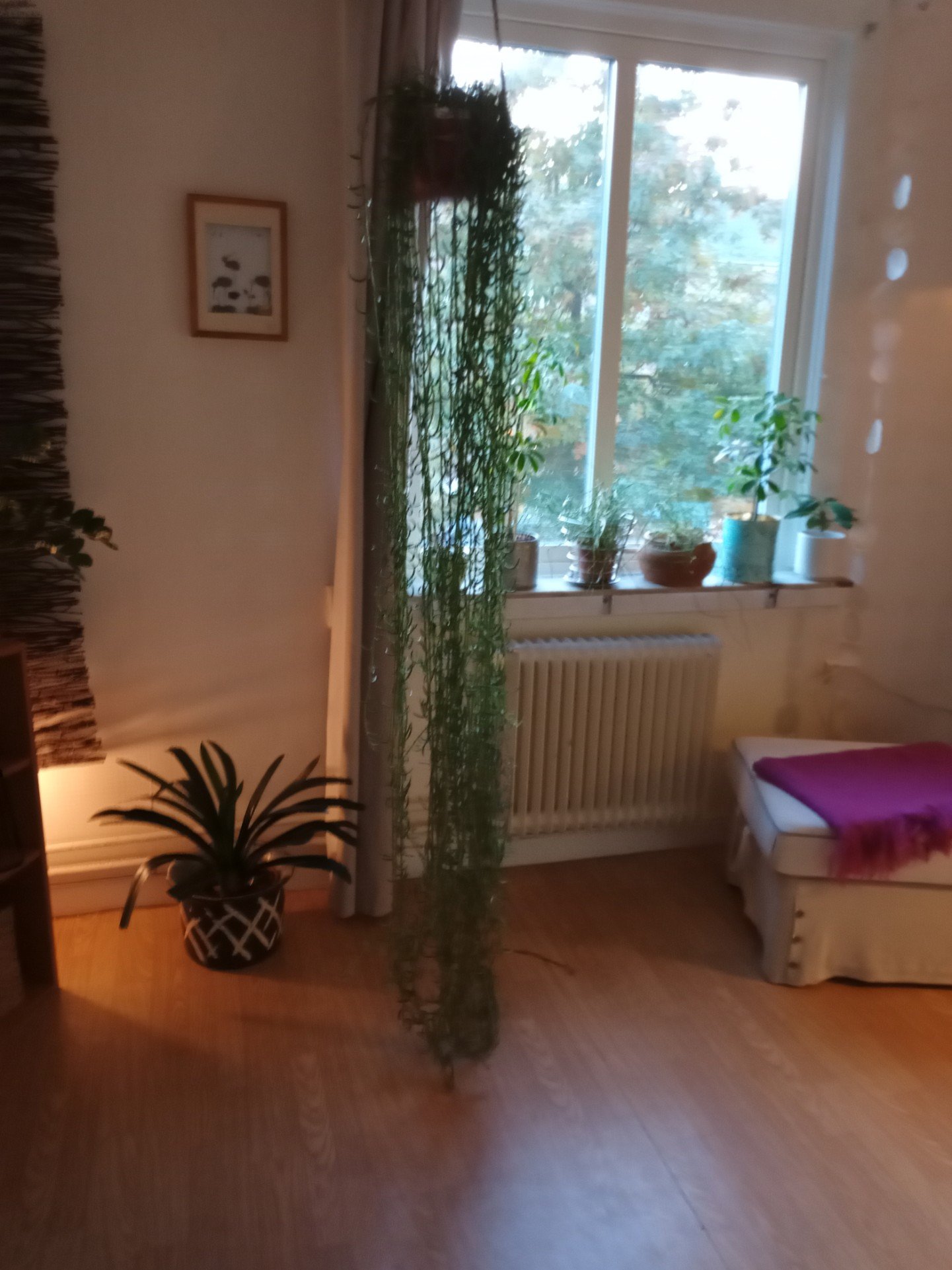 Lägenhet – Göteborg, Kungsladugård - Bild 3