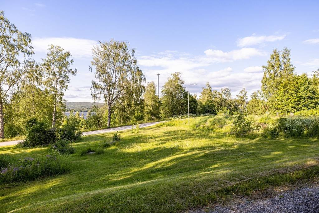 4 rok · 2241 m² i Väja – bild 18