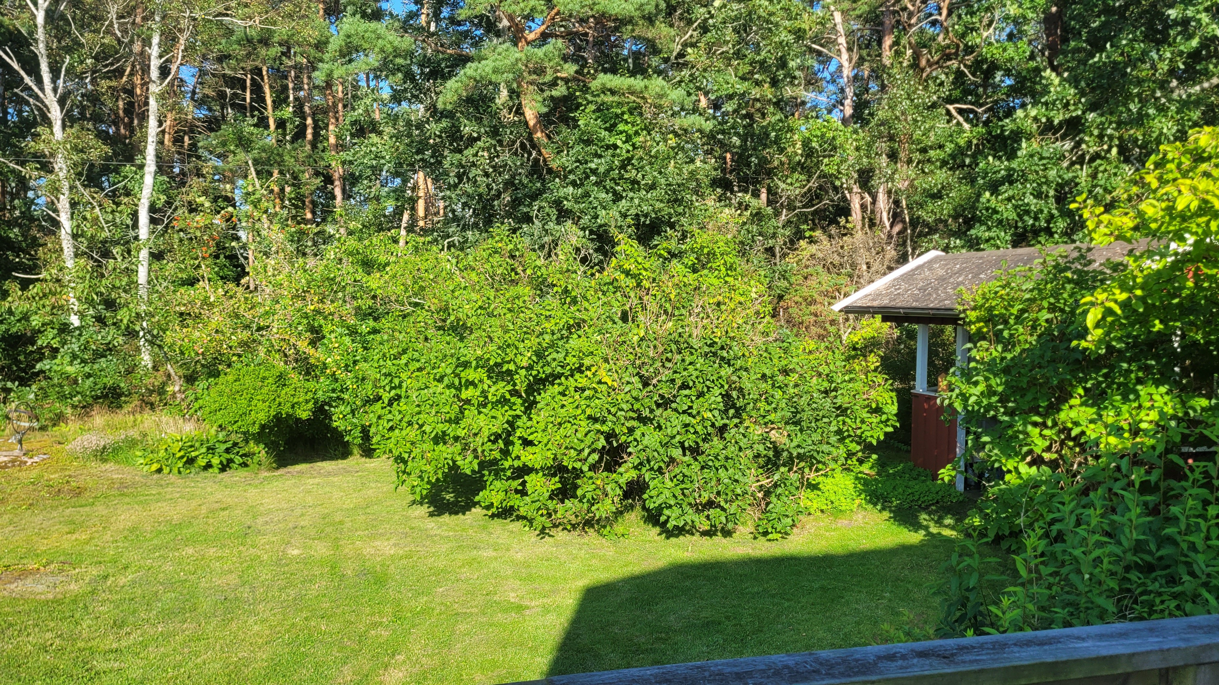 Hus – Åsa, Hallands län - Bild 3