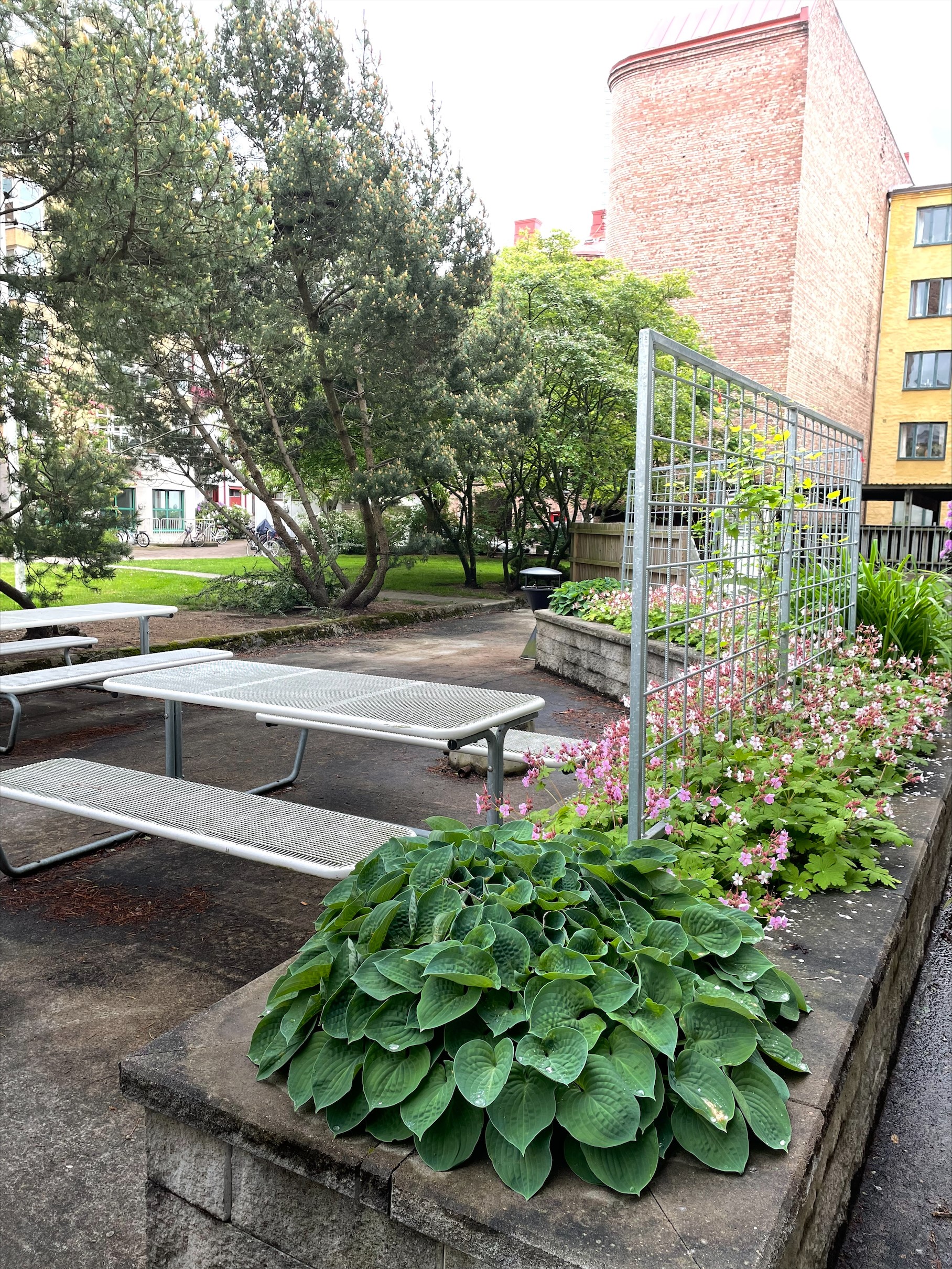 1 rok · 25 m² i Halmstad – bild 5