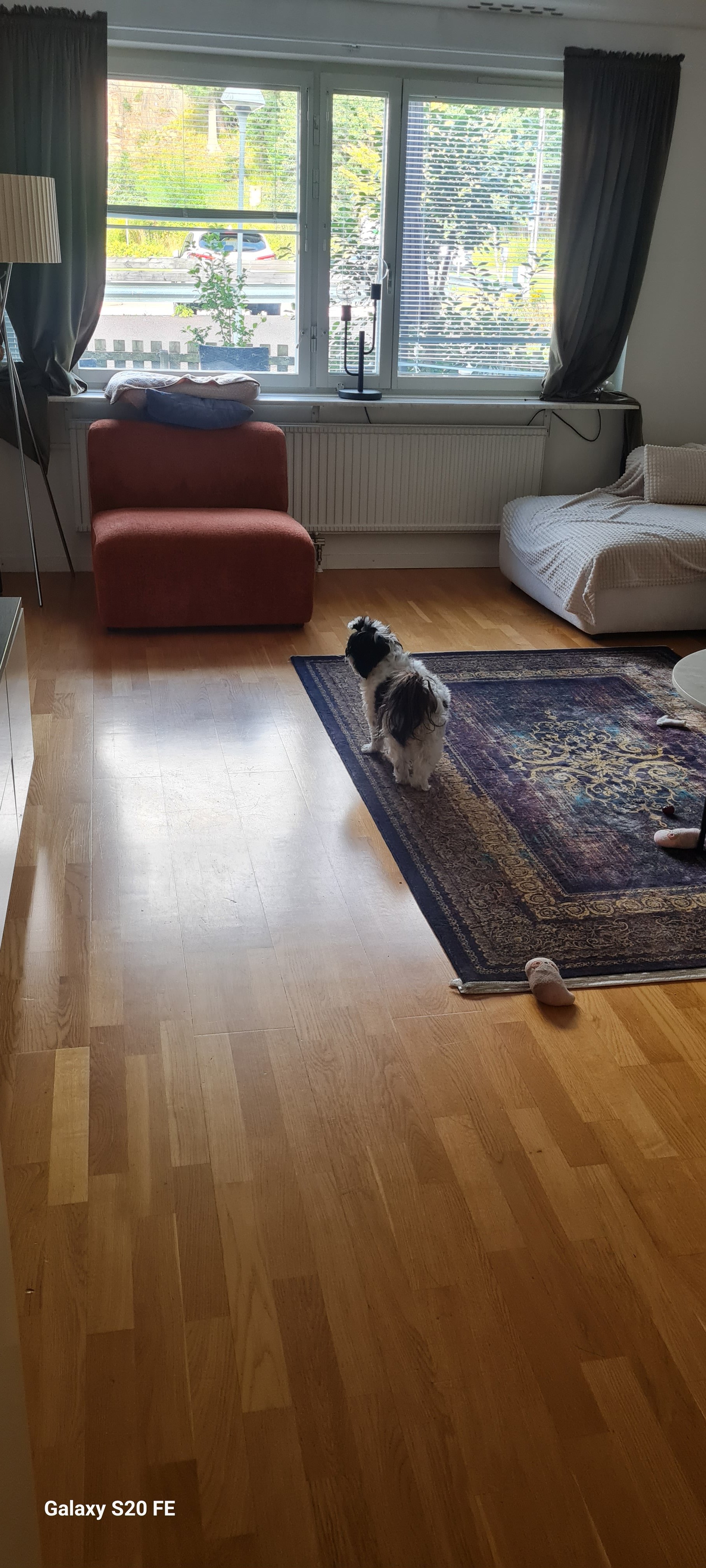 Qasa listing 1428464 - Bild 2