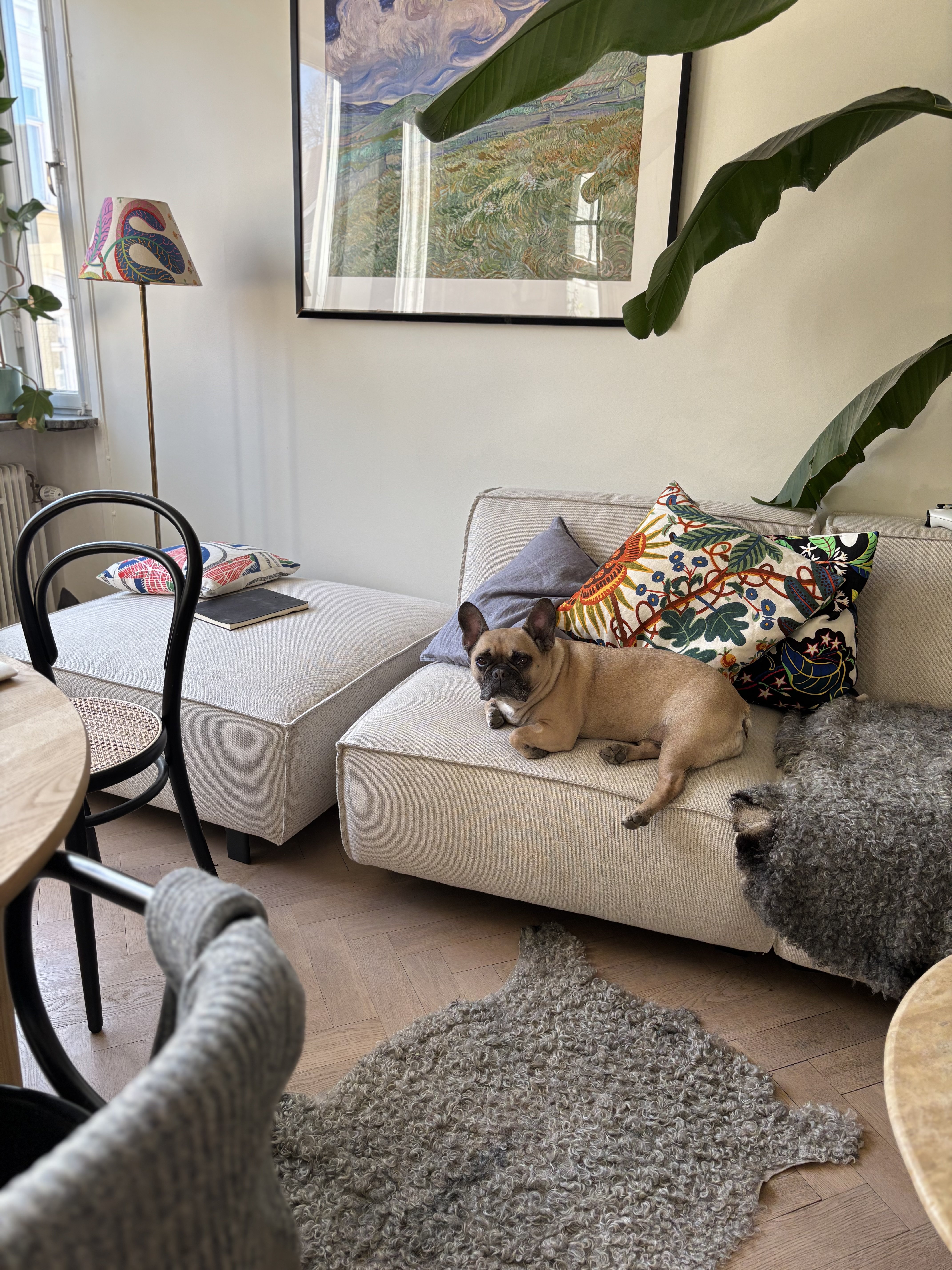 Borgmästargatan, Stockholm