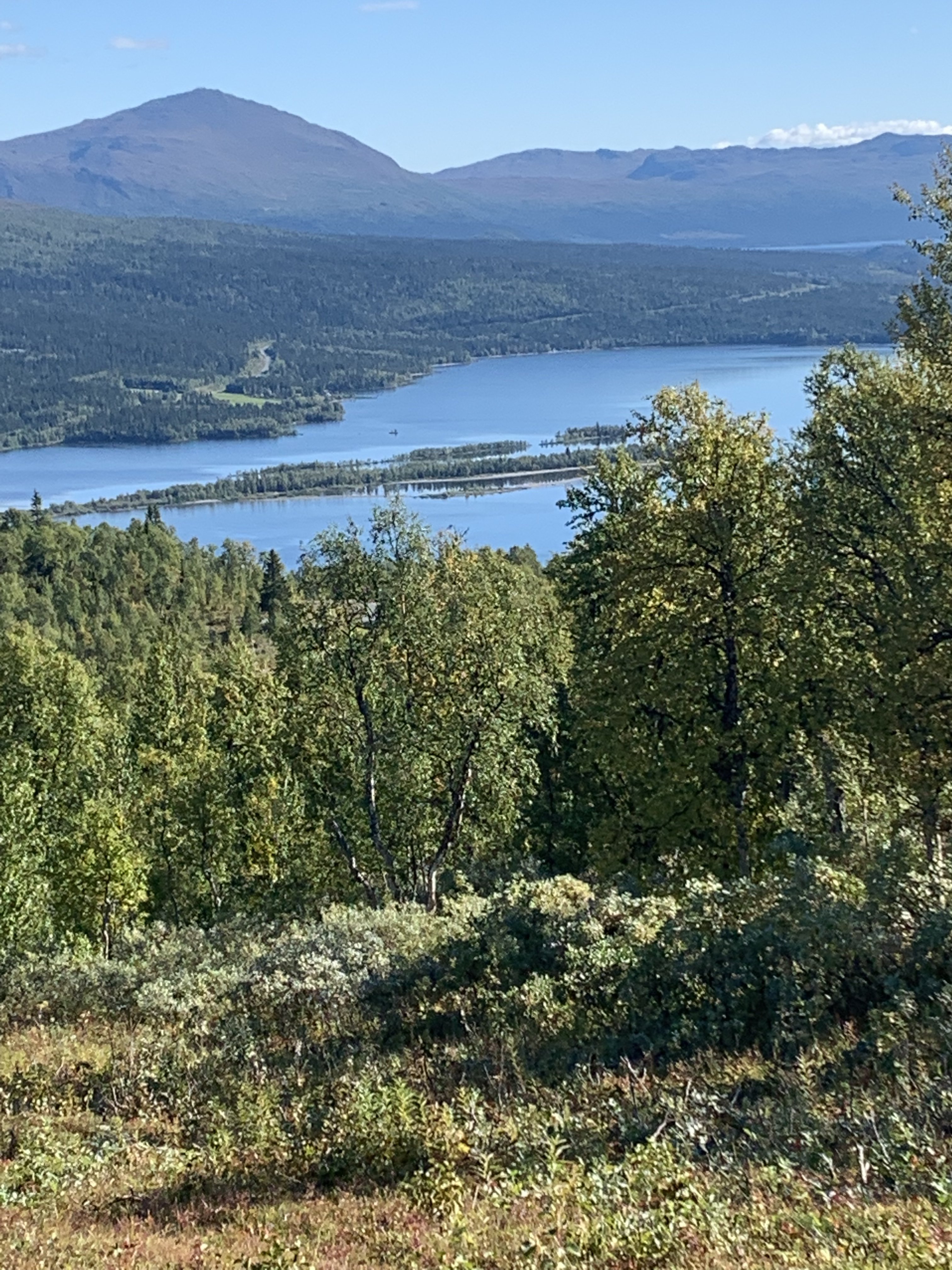 Bergsvägen