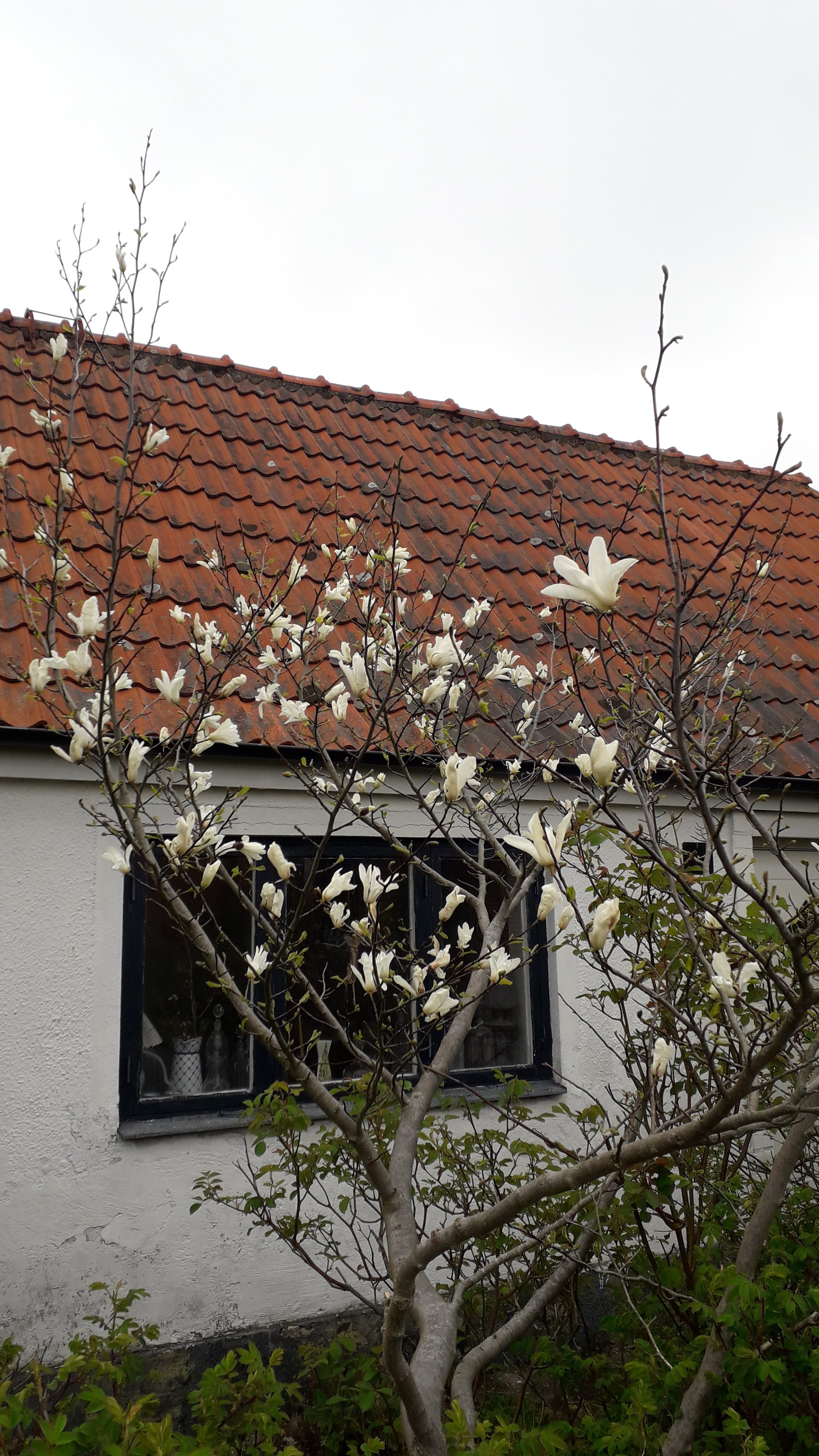 Villa/Hus, 4 rooms, 95 sqm, Brantevik