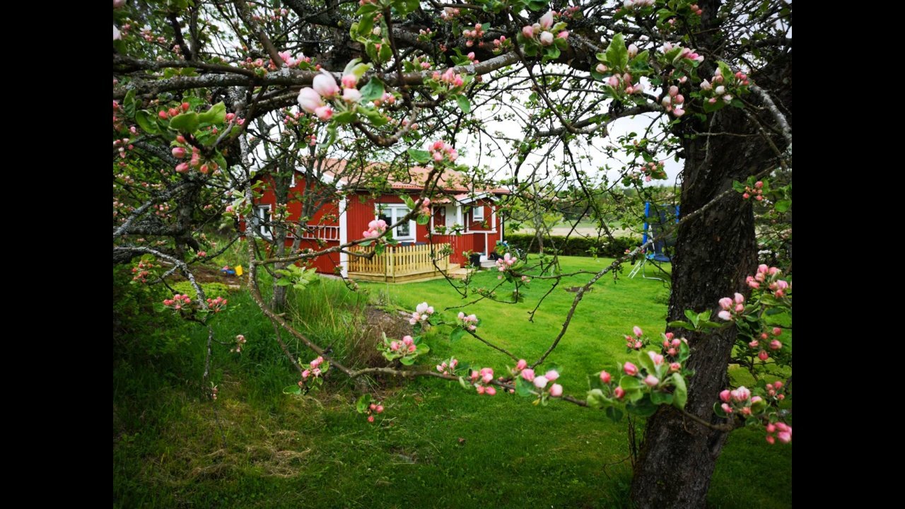 Stuga, 2 rooms, 50 sqm, Vänge