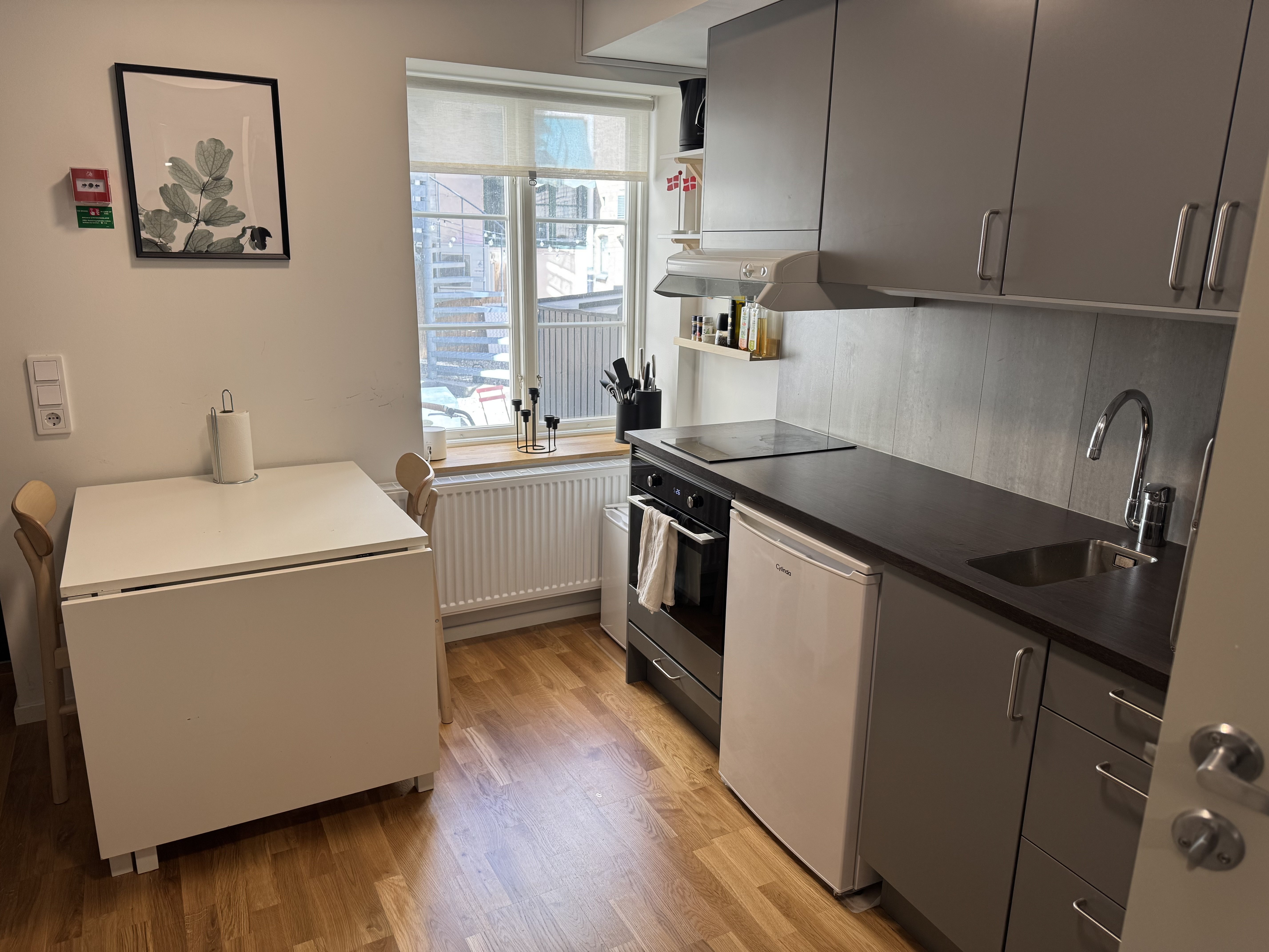 Lilla Gråbrödersgatan, Lund — photo 4