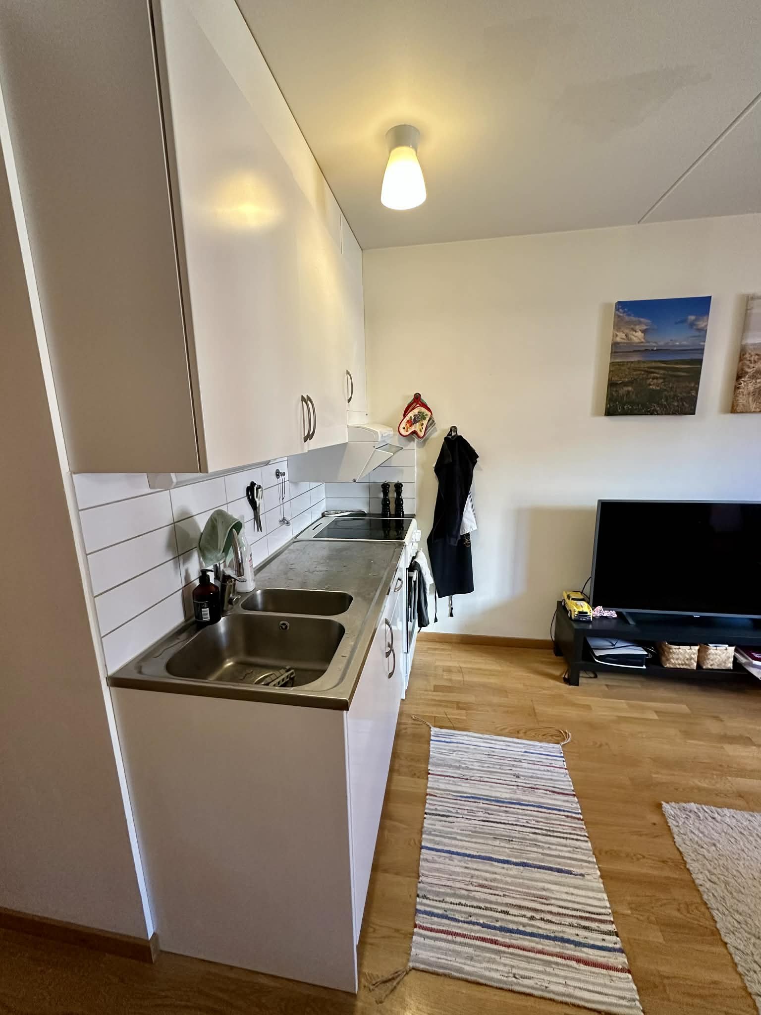 Rosendalsvägen, Uppsala — photo 2