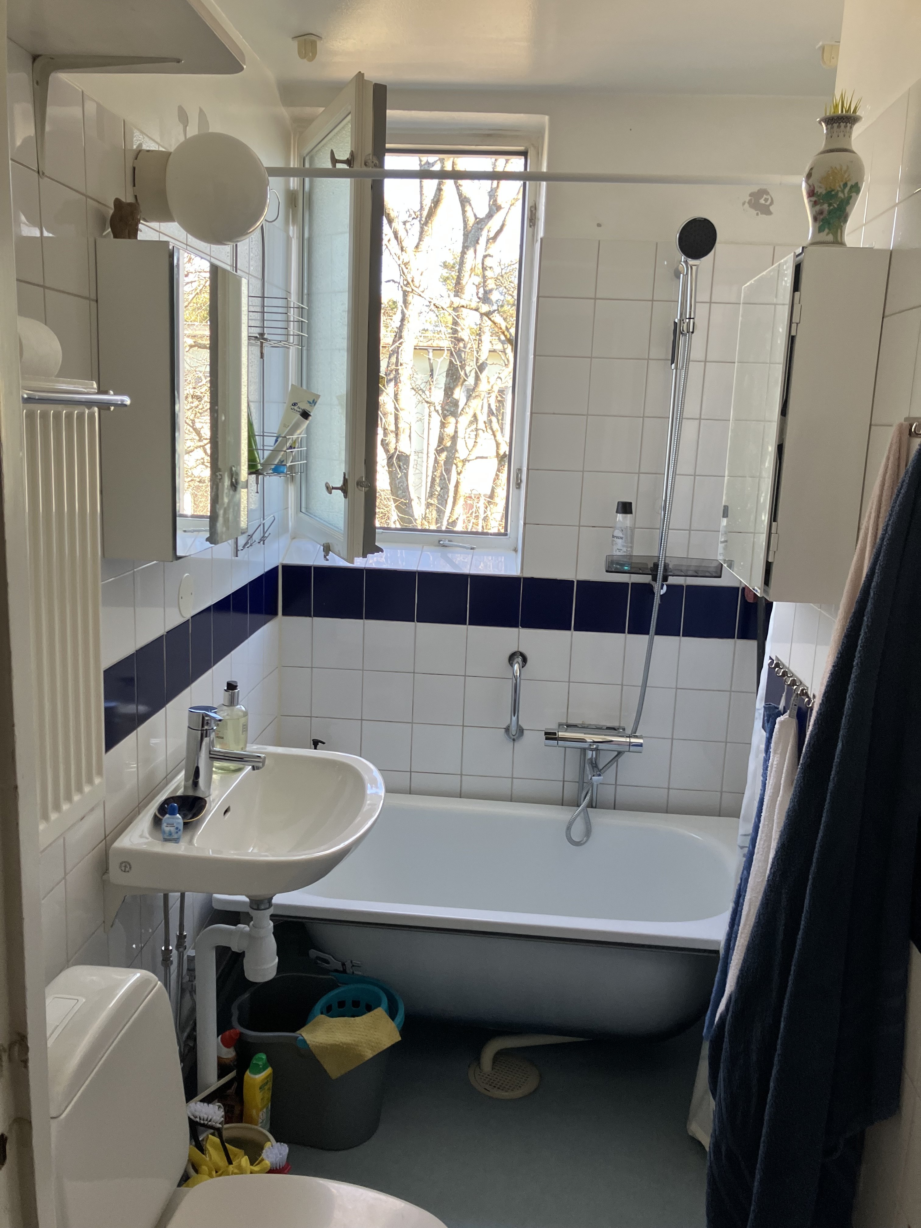 Petrejusvägen, Johanneshov