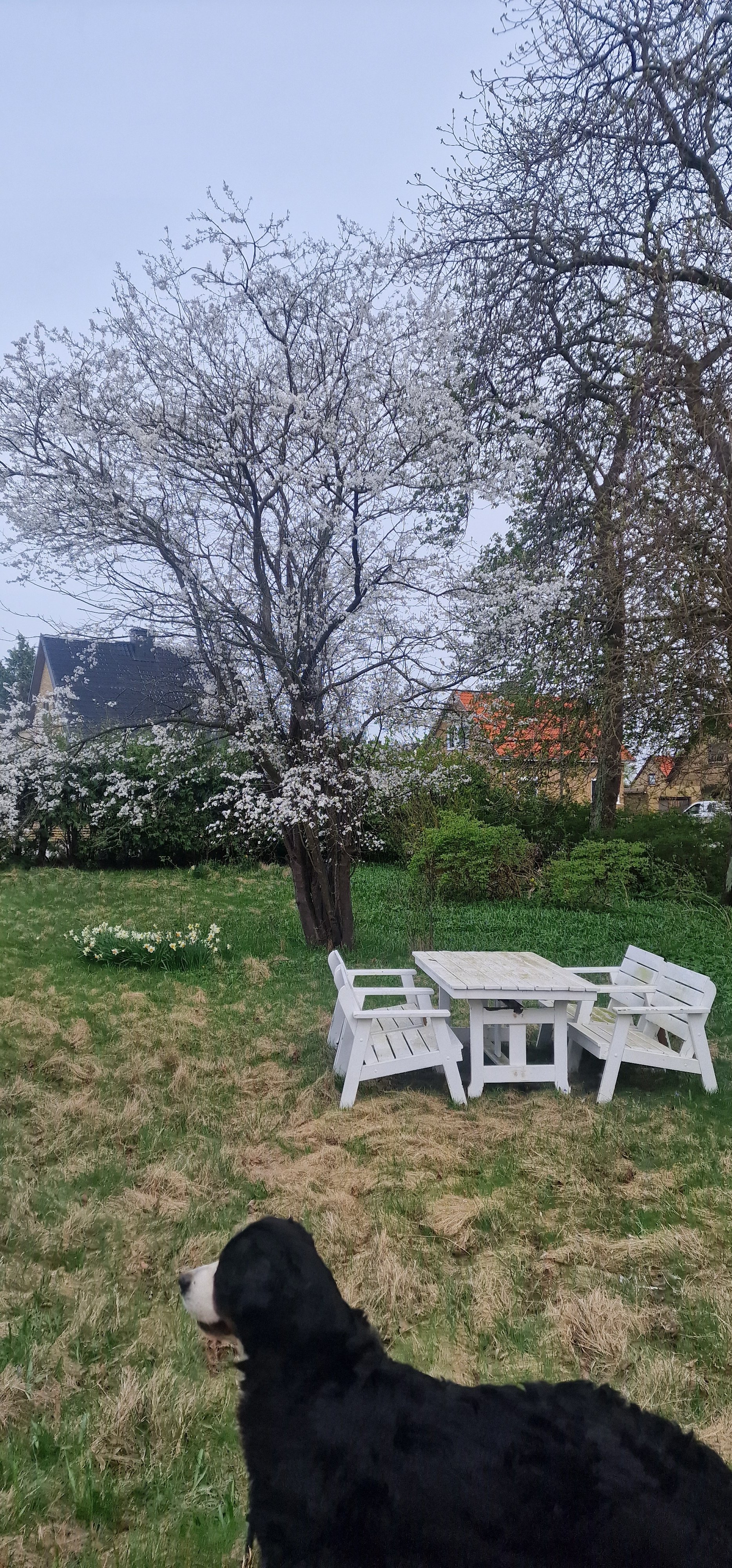 Västra Skrävlingevägen, Malmö — photo 5