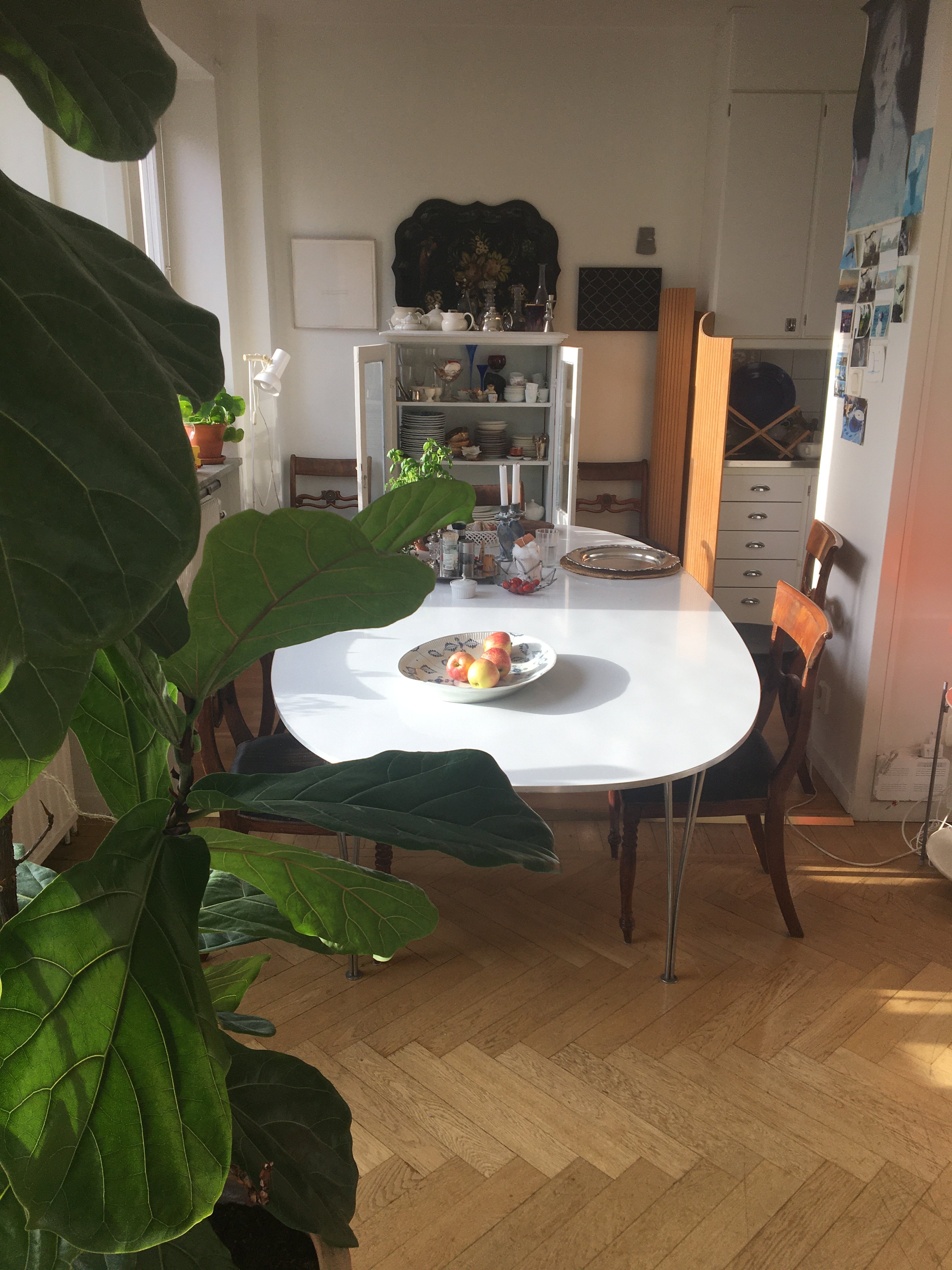 Rindögatan, Stockholm — photo 5