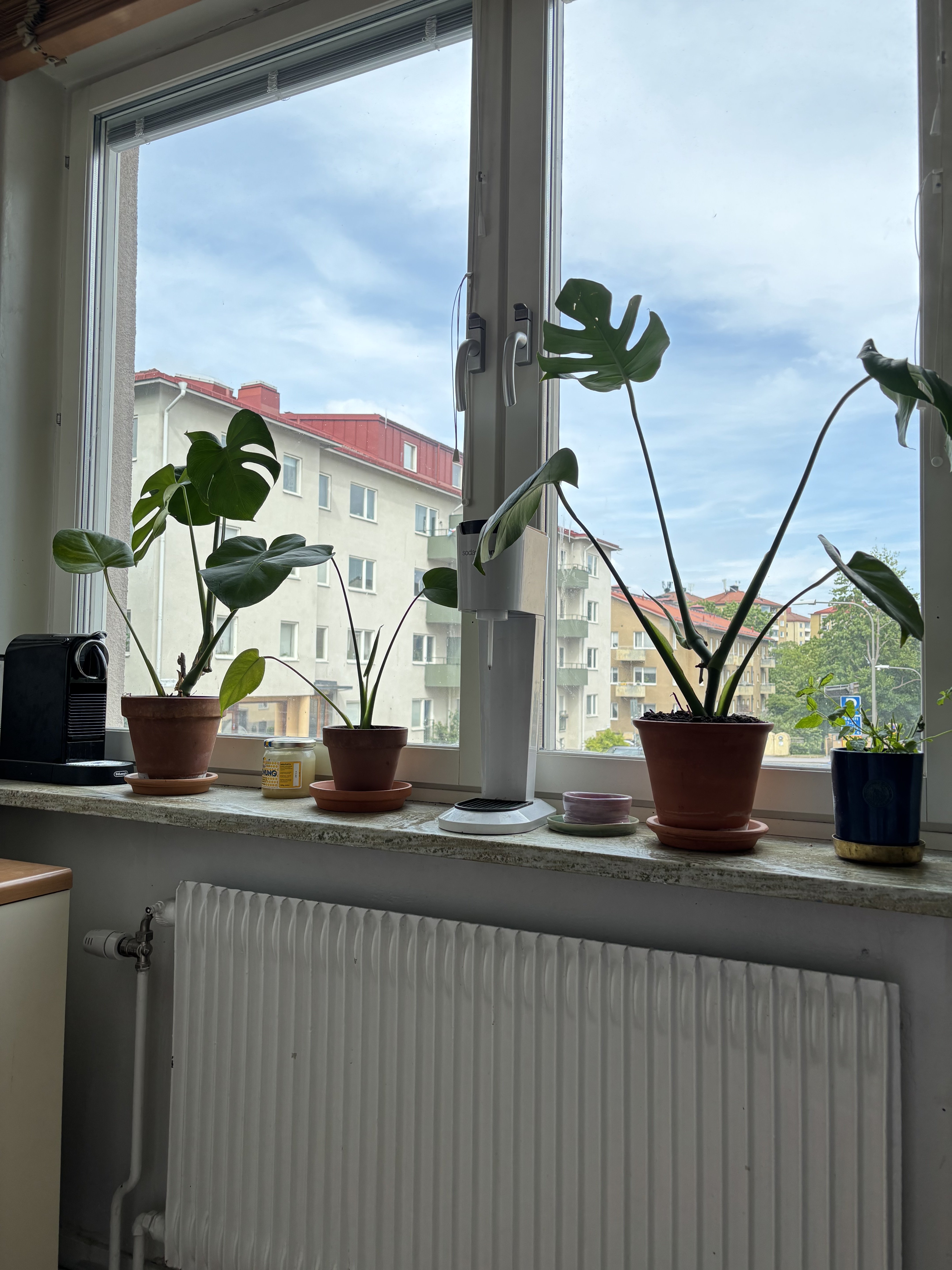 Bildhuggarvägen