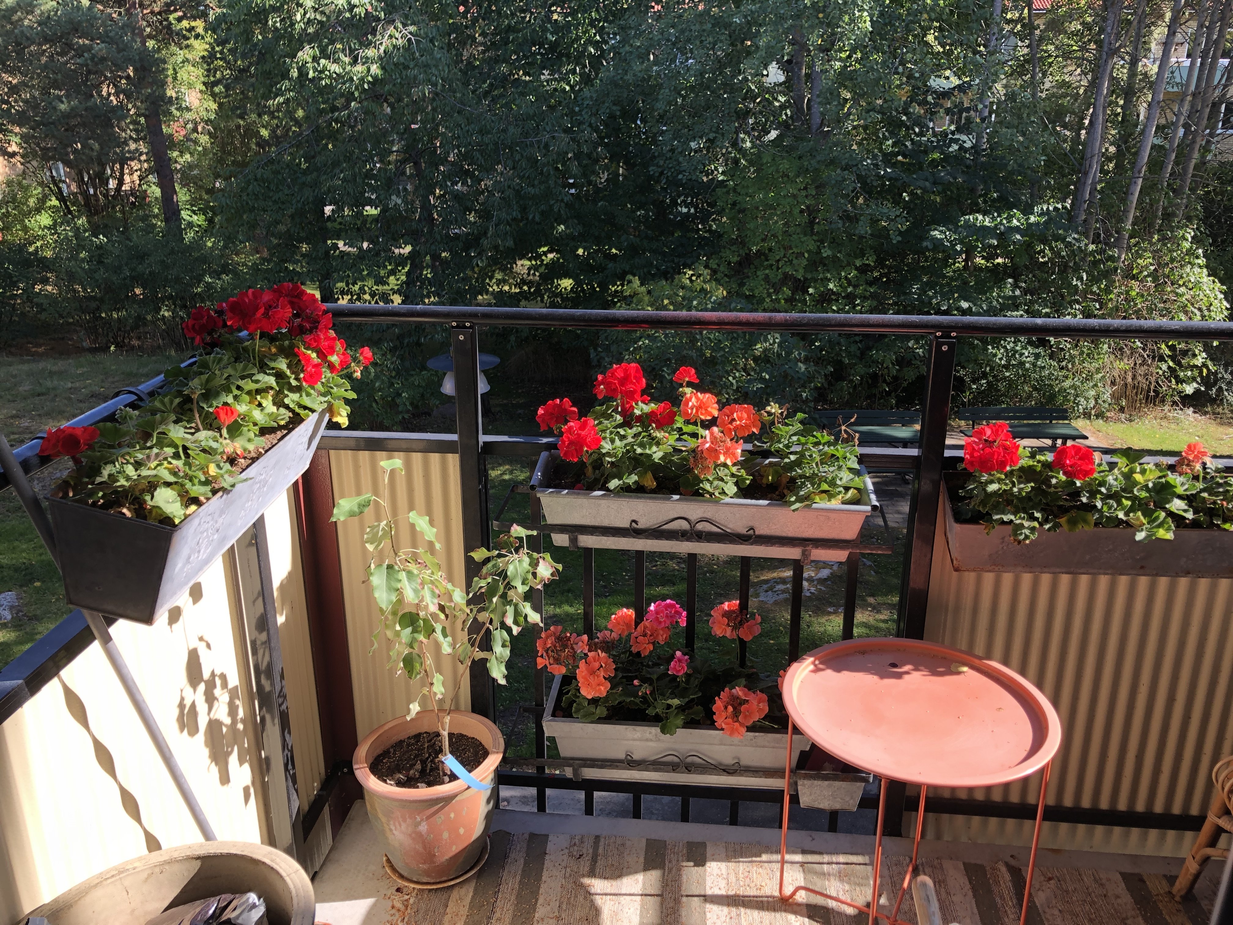 1 rum Årsta — 6 300 kr/mån | Bostadsögat