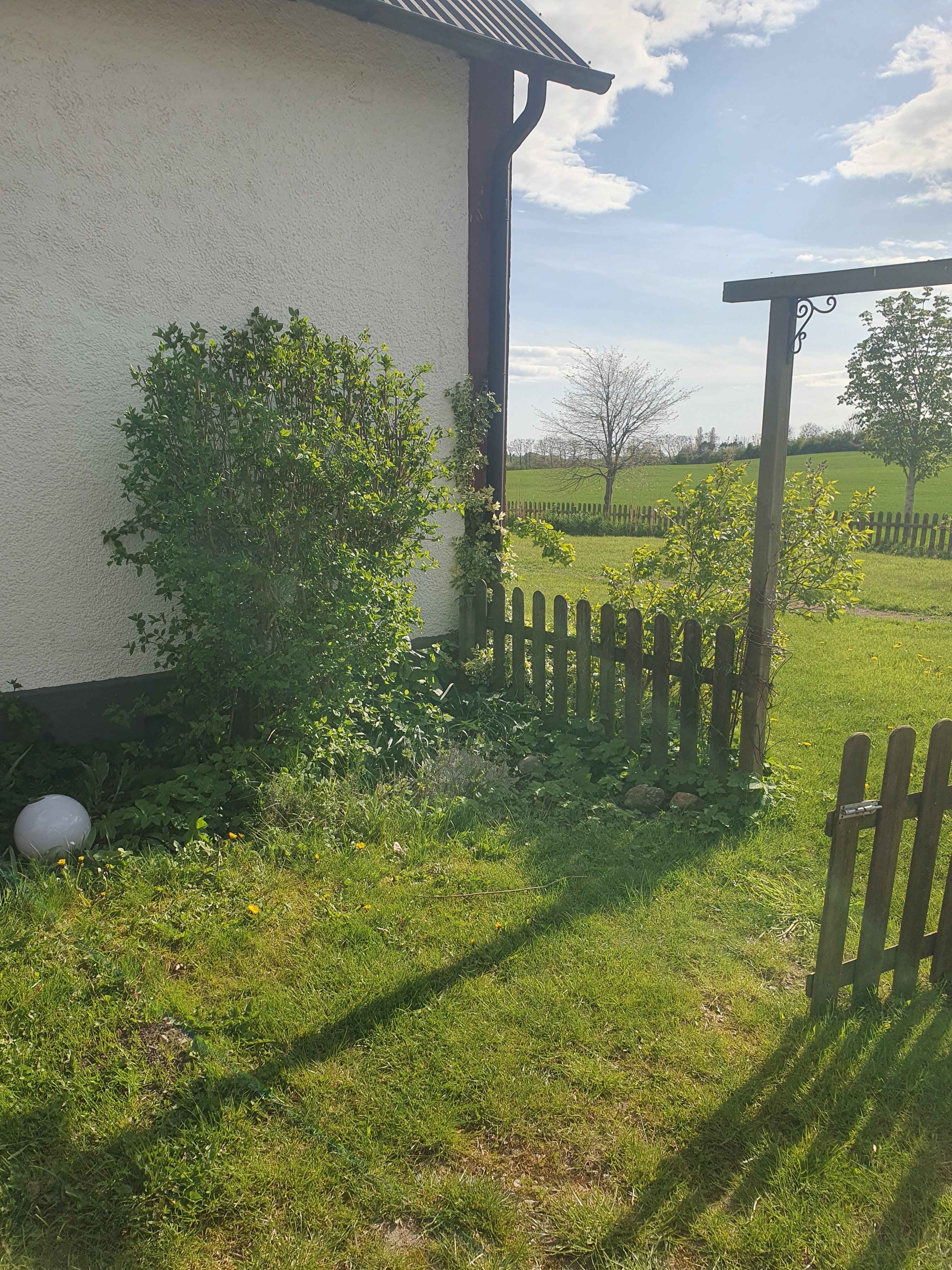Hus – Svarte, Balkåkra - Bild 5