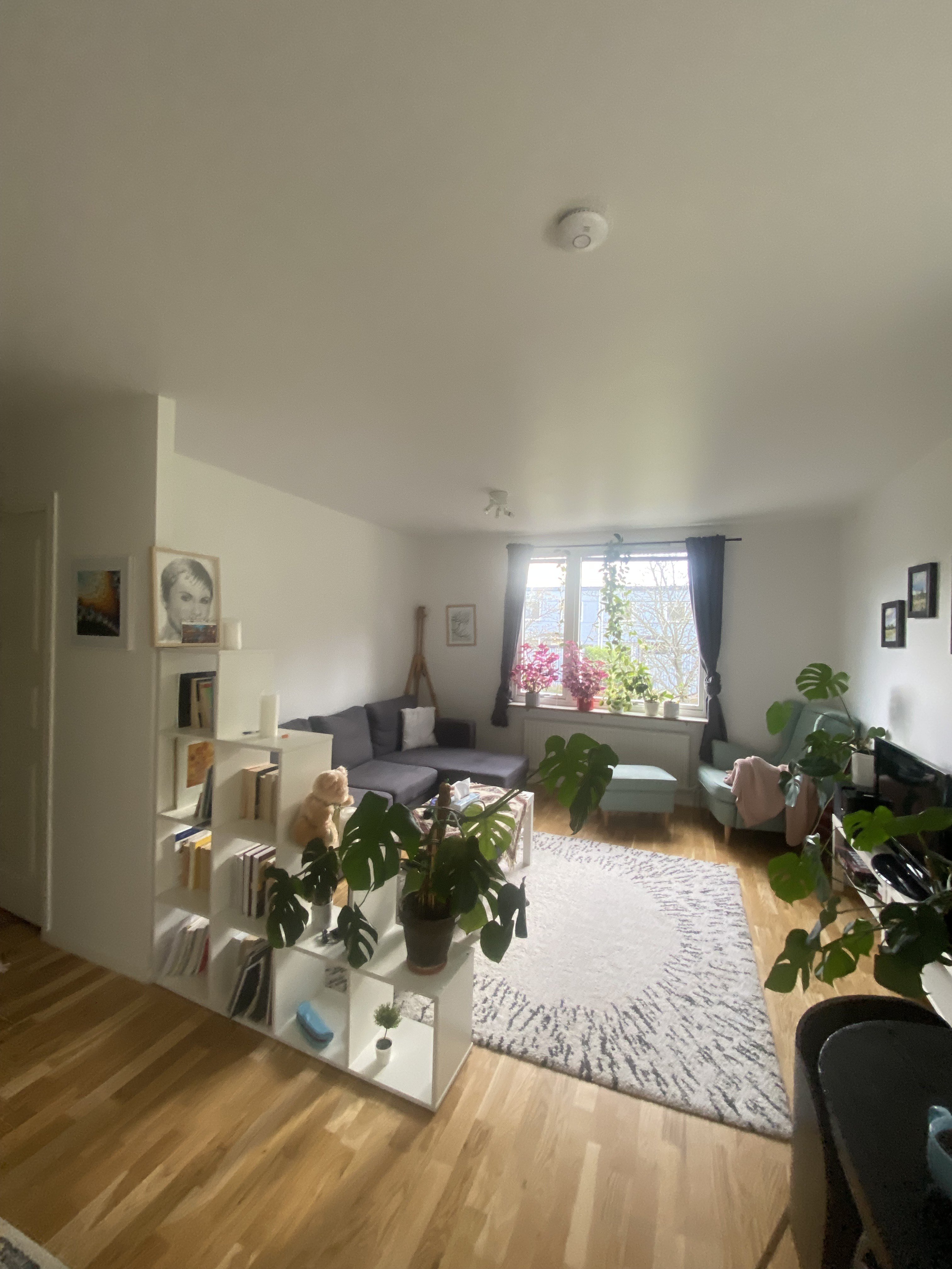 Lägenhet, 2 rooms, 46 sqm, Göteborg