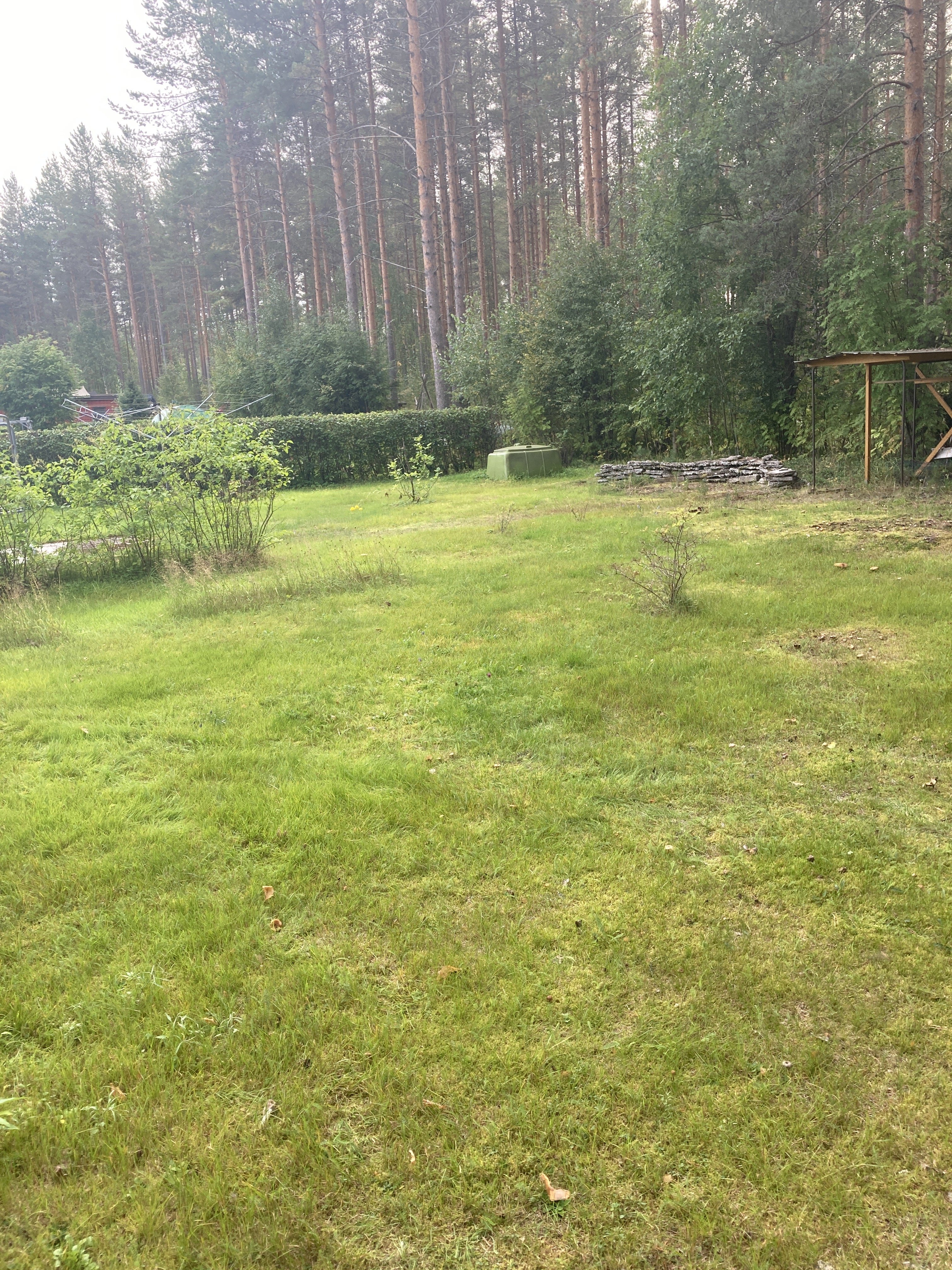Pieni, siistikuntoinen omakotitalo 5