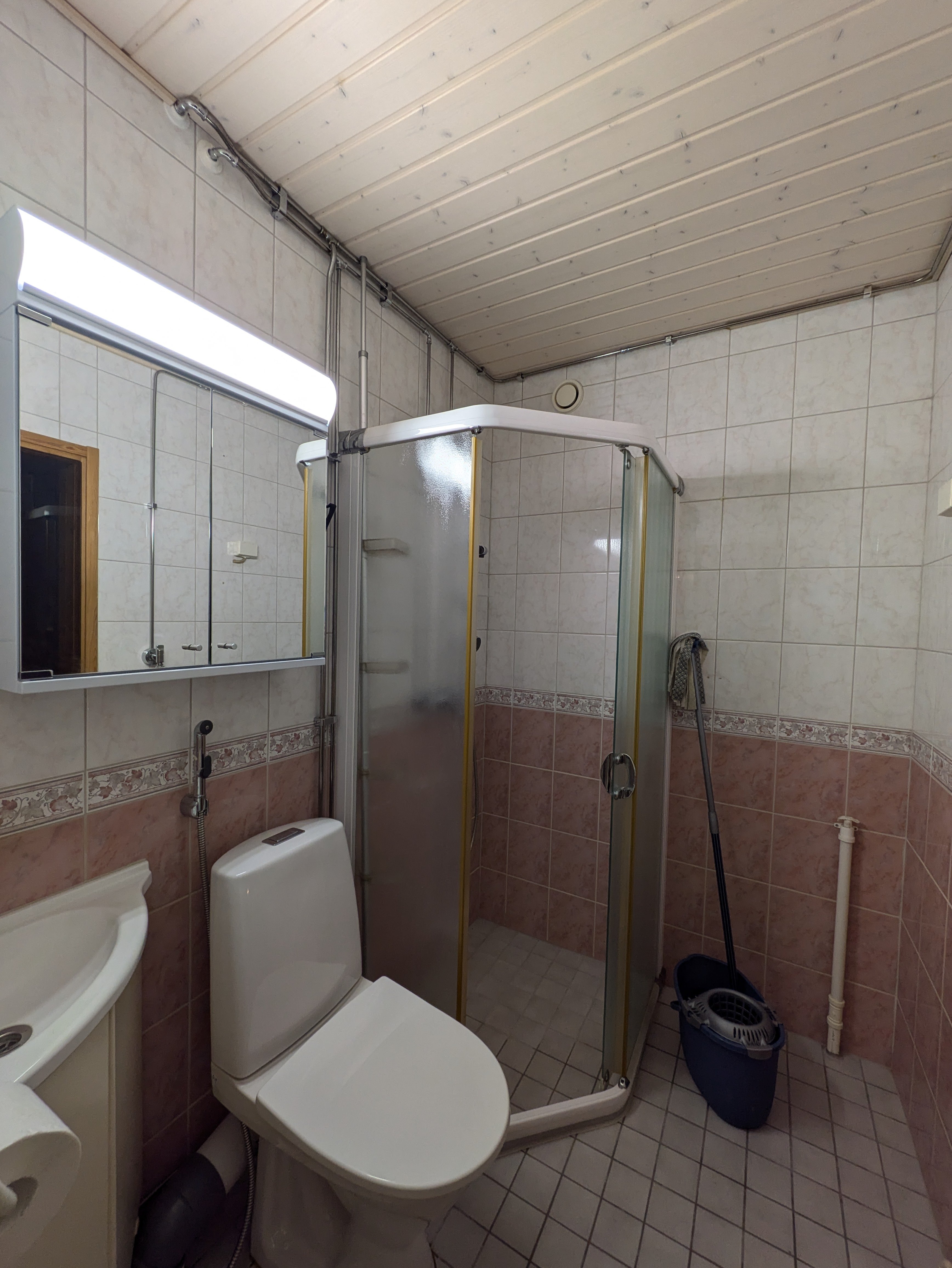 Tilaa, tunnelmaa ja oma sauna 2