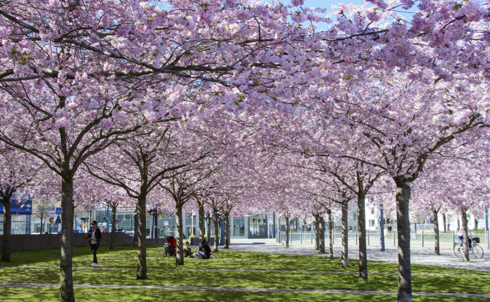 Strybordsgatan , Stockholm