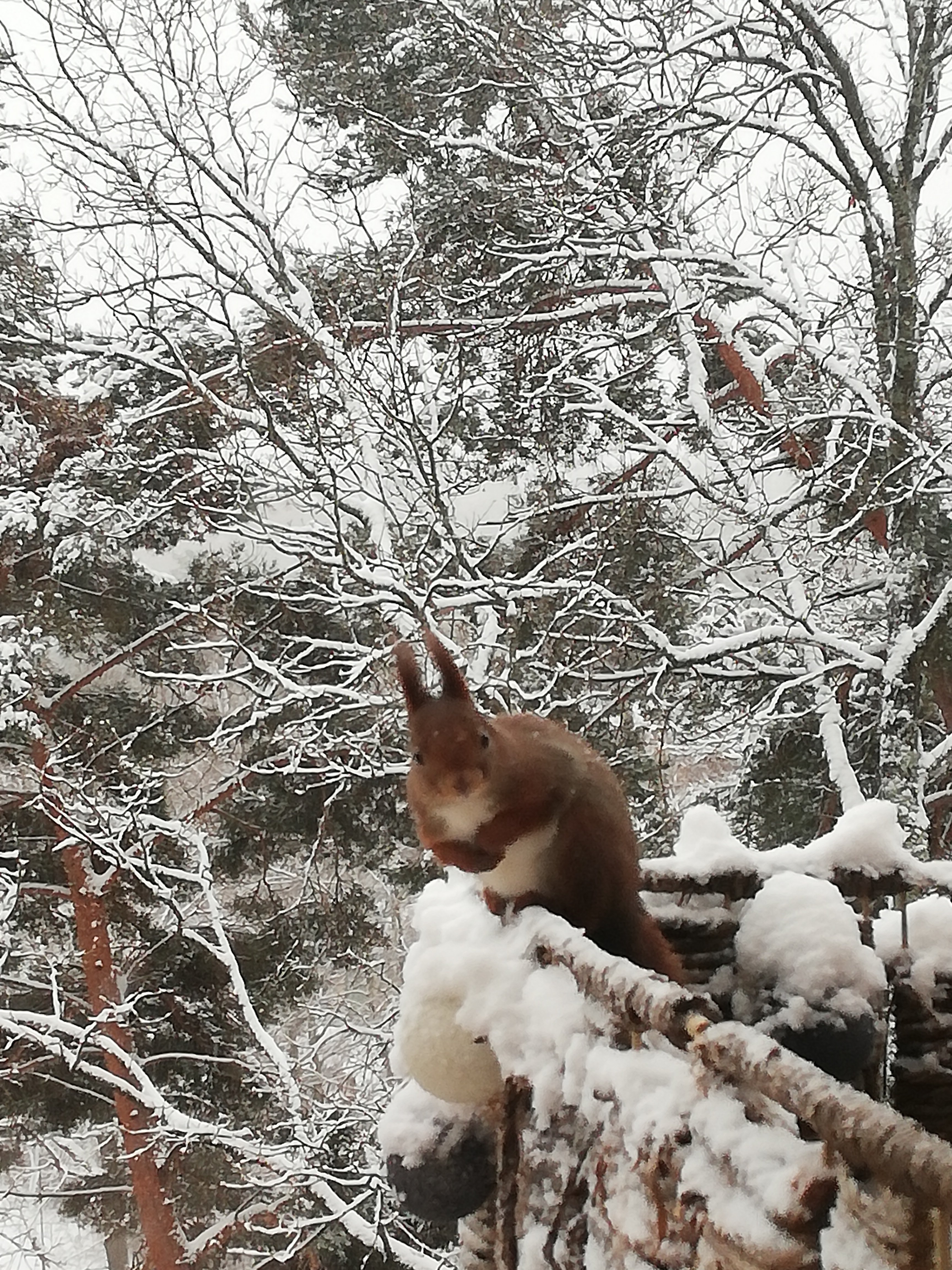  Torsten Alms Gata, Hägersten