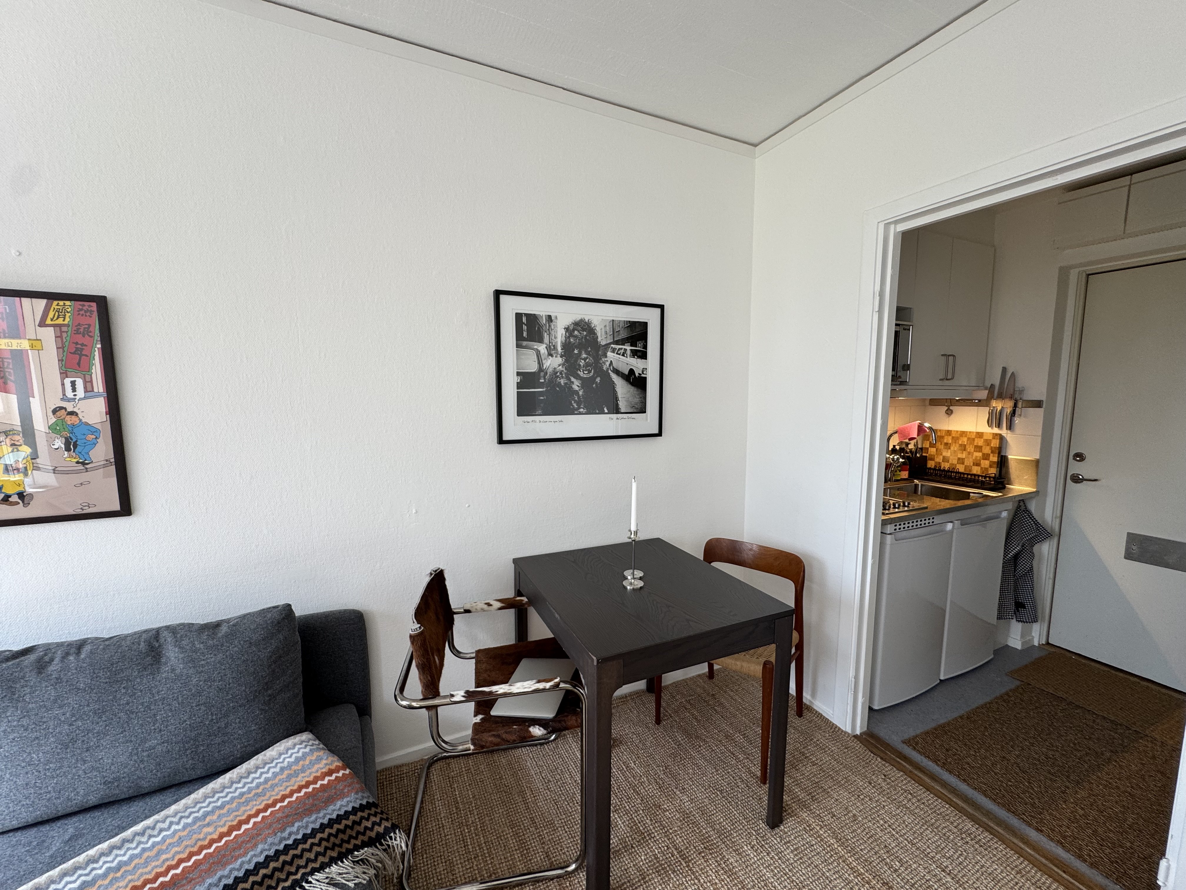 Agardhsgatan, Lund — photo 5